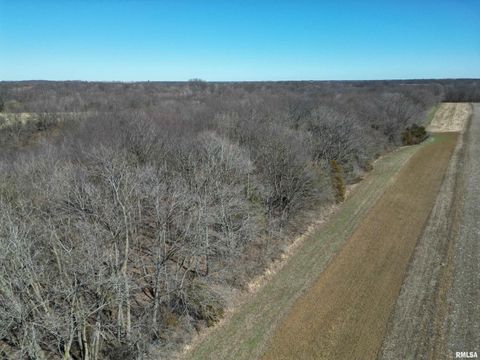 Vacant Land For Sale - Shortys Road<br/> Fulton County, Canton, IL 61520