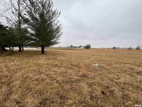 Vacant Land For Sale - LOT 1&2 Raleigh Road<br/> Eldorado, IL 62930
