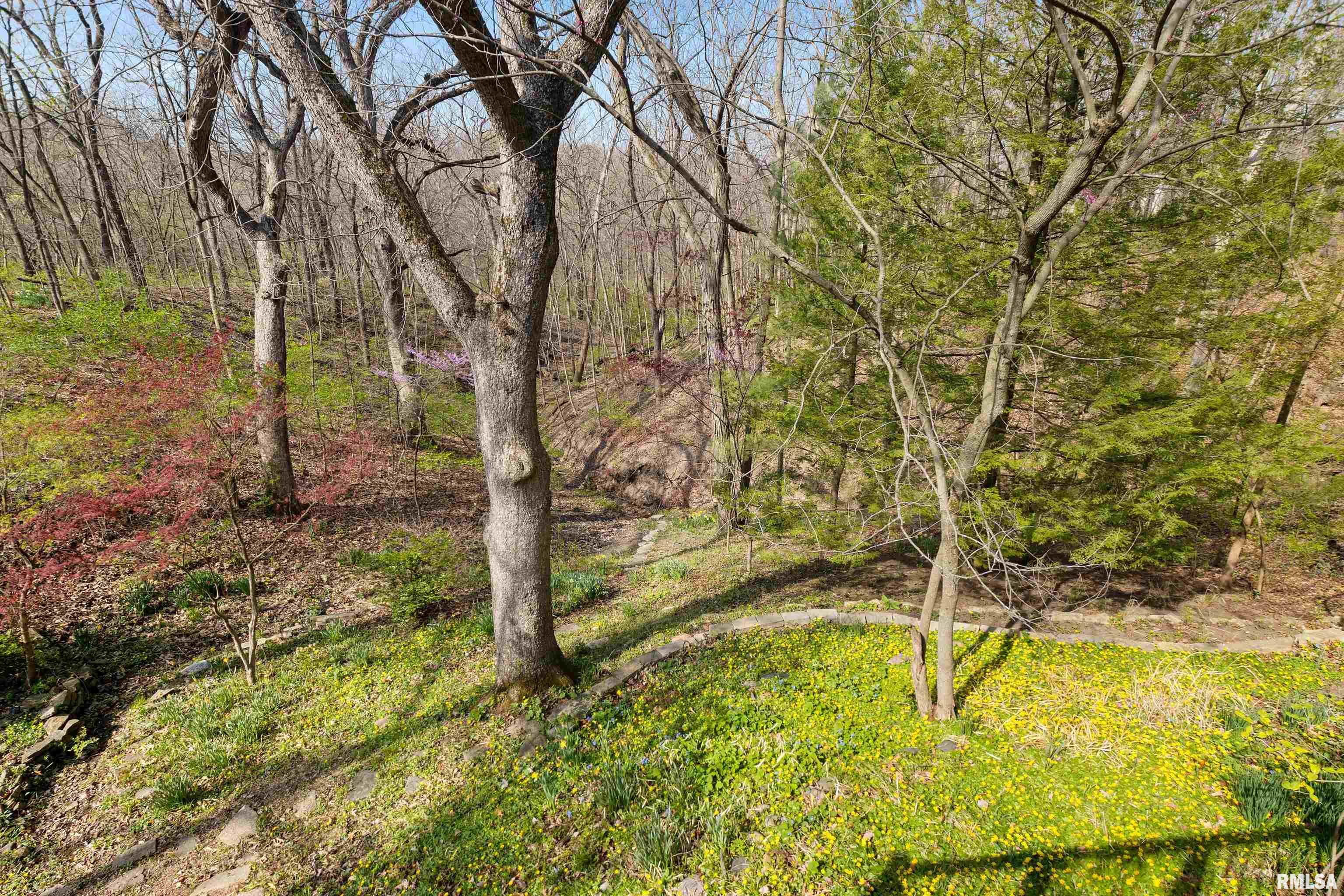 2607 N Kingston Drive, Peoria, Illinois image 13