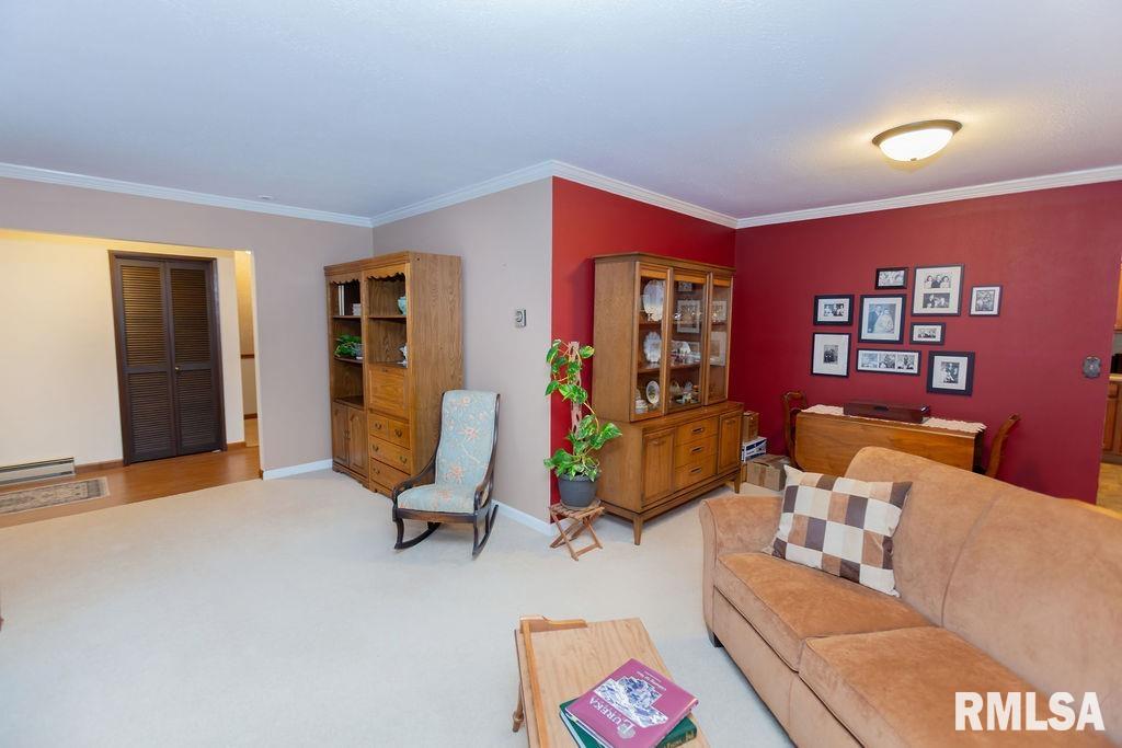 305 E Pearson Street, Eureka, Illinois image 17