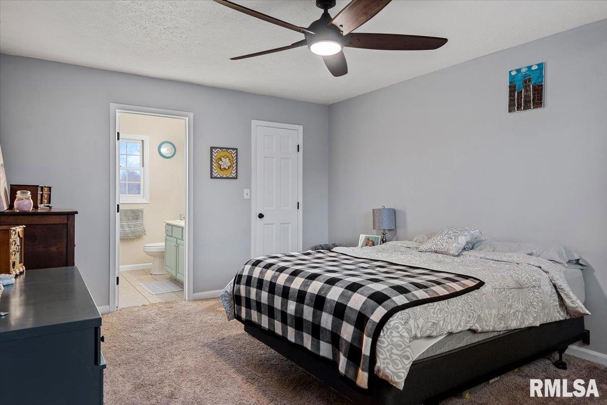 802 N Clover Court, Athens, Illinois image 21
