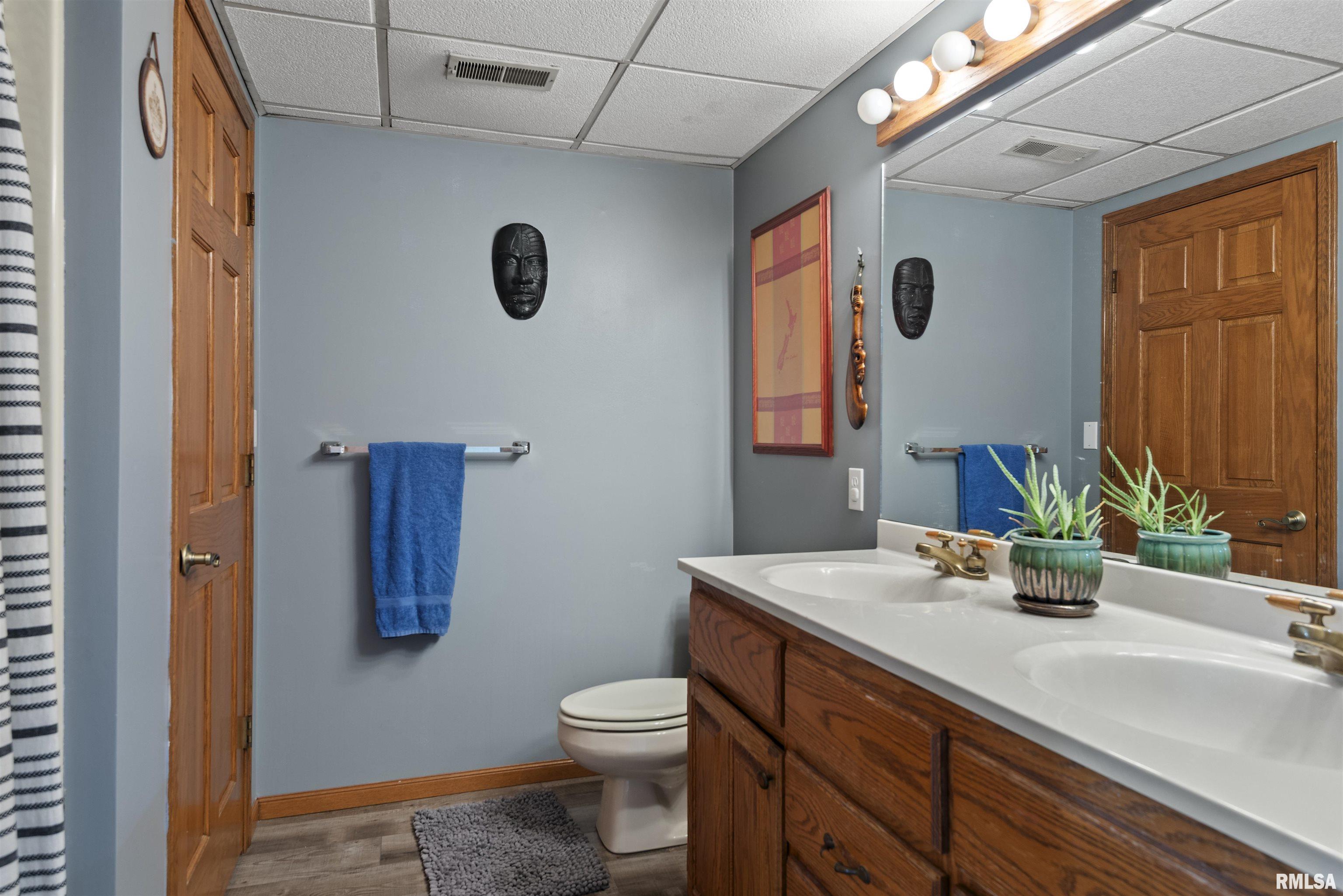 17269 Woodland Lakes Drive, Petersburg, Illinois image 50