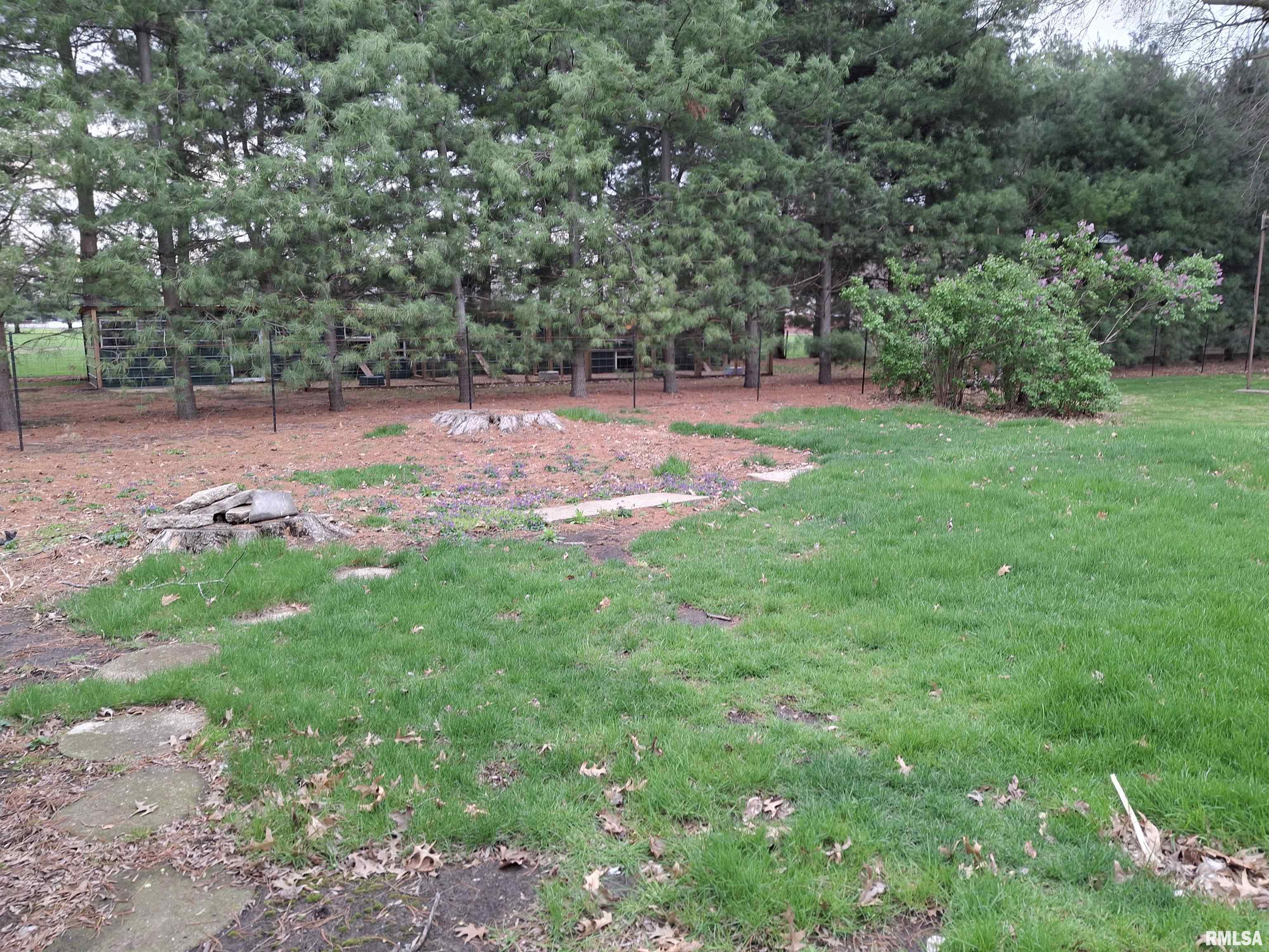 10 Willow Court, Canton, Illinois image 24