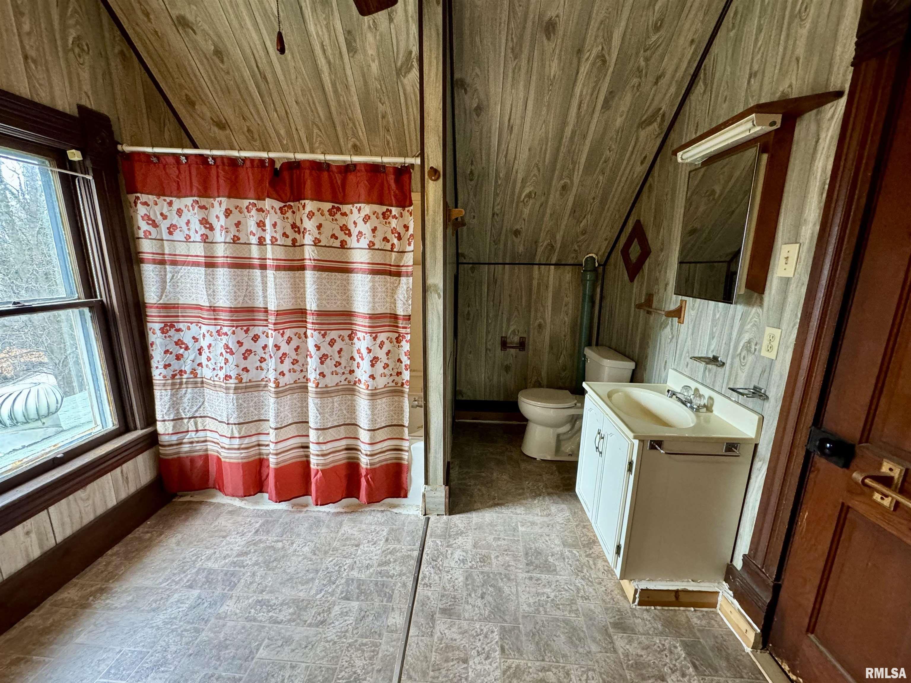 223 Oak Street, Dongola, Illinois image 17