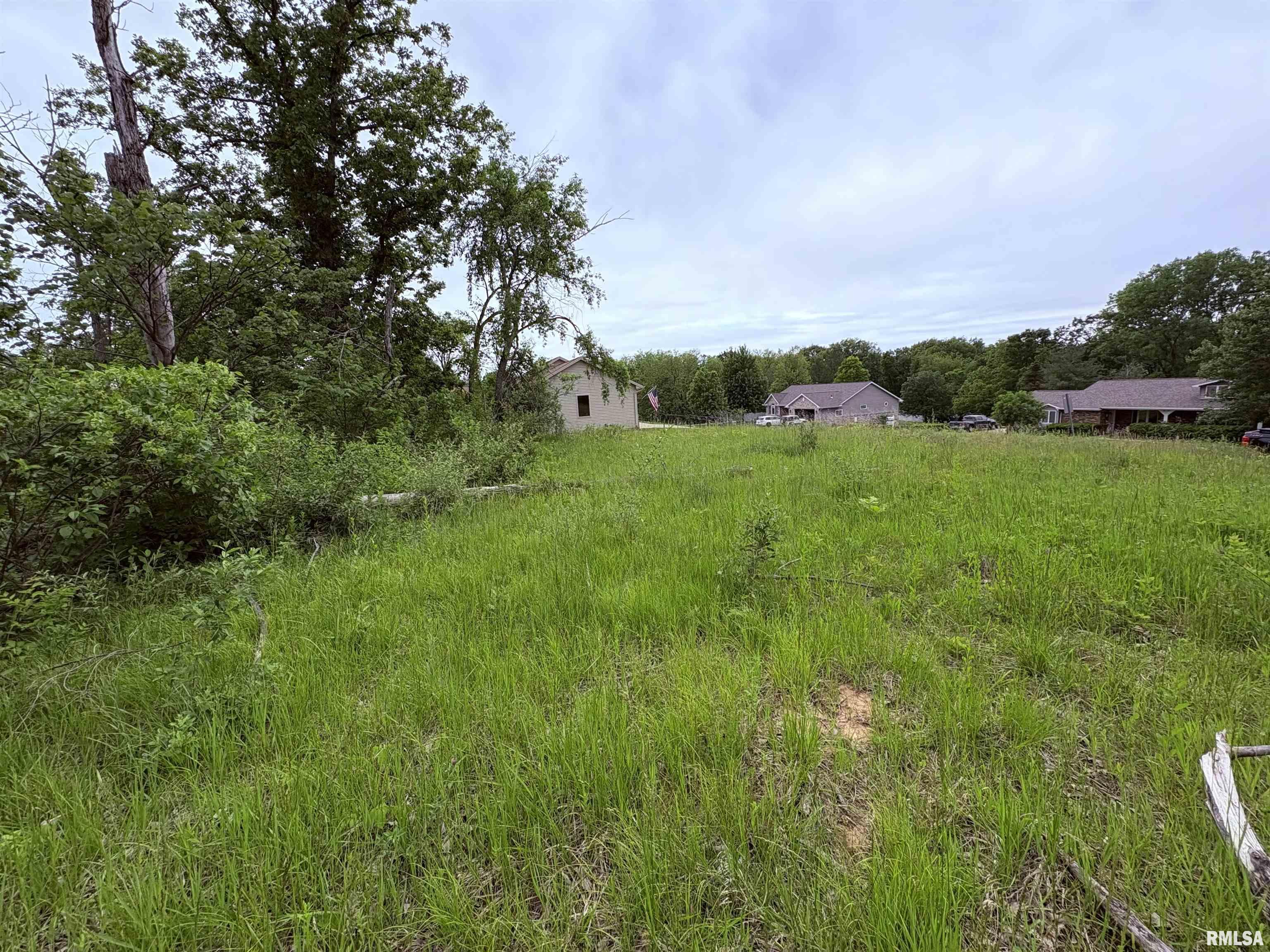 Lot 20 Deer Bluffs Drive, Chillicothe, Illinois image 2