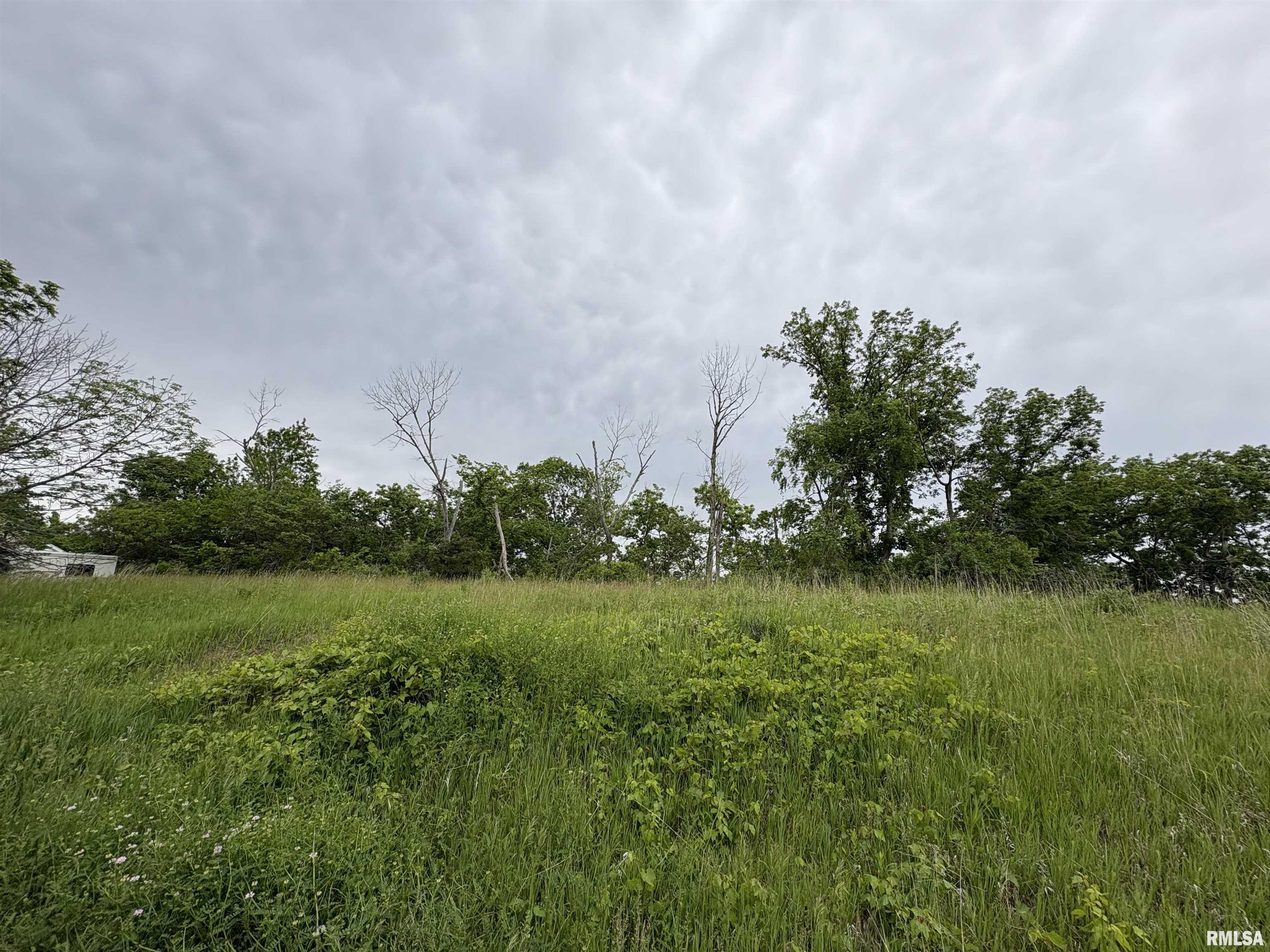 Lot 20 Deer Bluffs Drive, Chillicothe, Illinois image 1