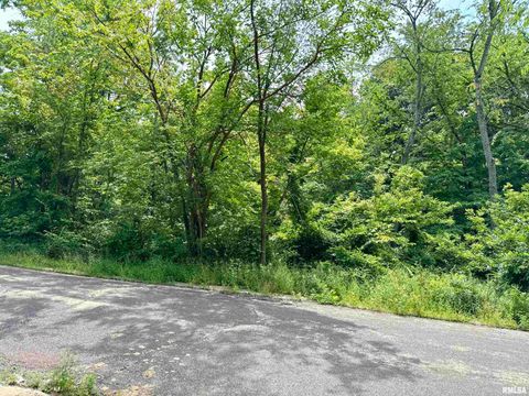 Vacant Land For Sale - 106 Maywood Avenue<br/> Creve Coeur, IL 61610
