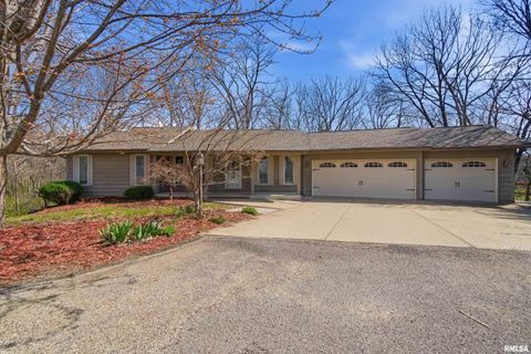 Photo of 1214 BRIAR RIDGE Court, East Peoria, IL 61611 (MLS # PA1264721)