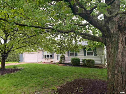 Homes For Sale - 1005 E Brookview Lane<br/> Peoria County, Peoria, IL 61615