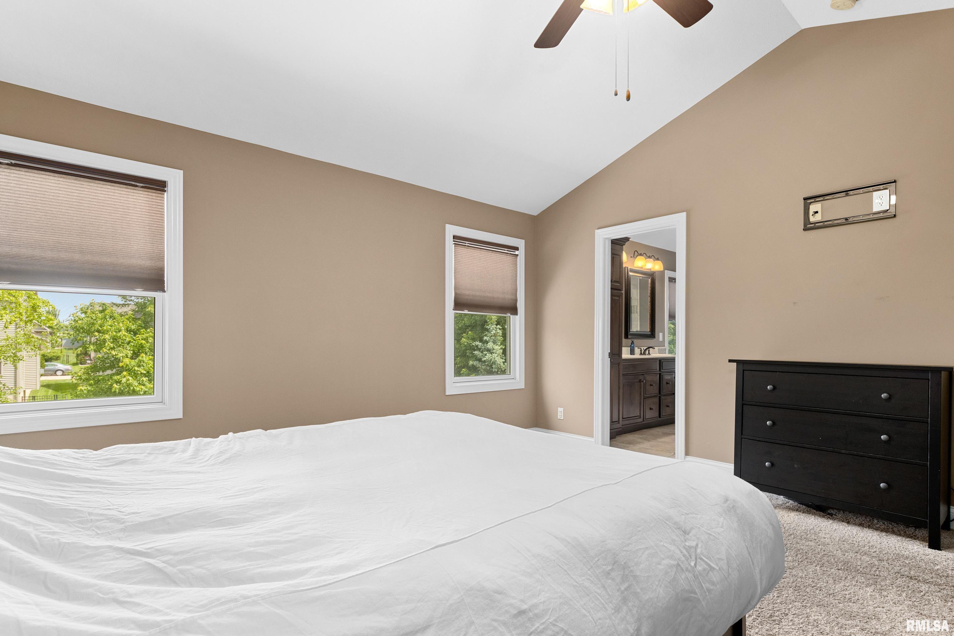 6503 W Sommer Place, Edwards, Illinois image 35