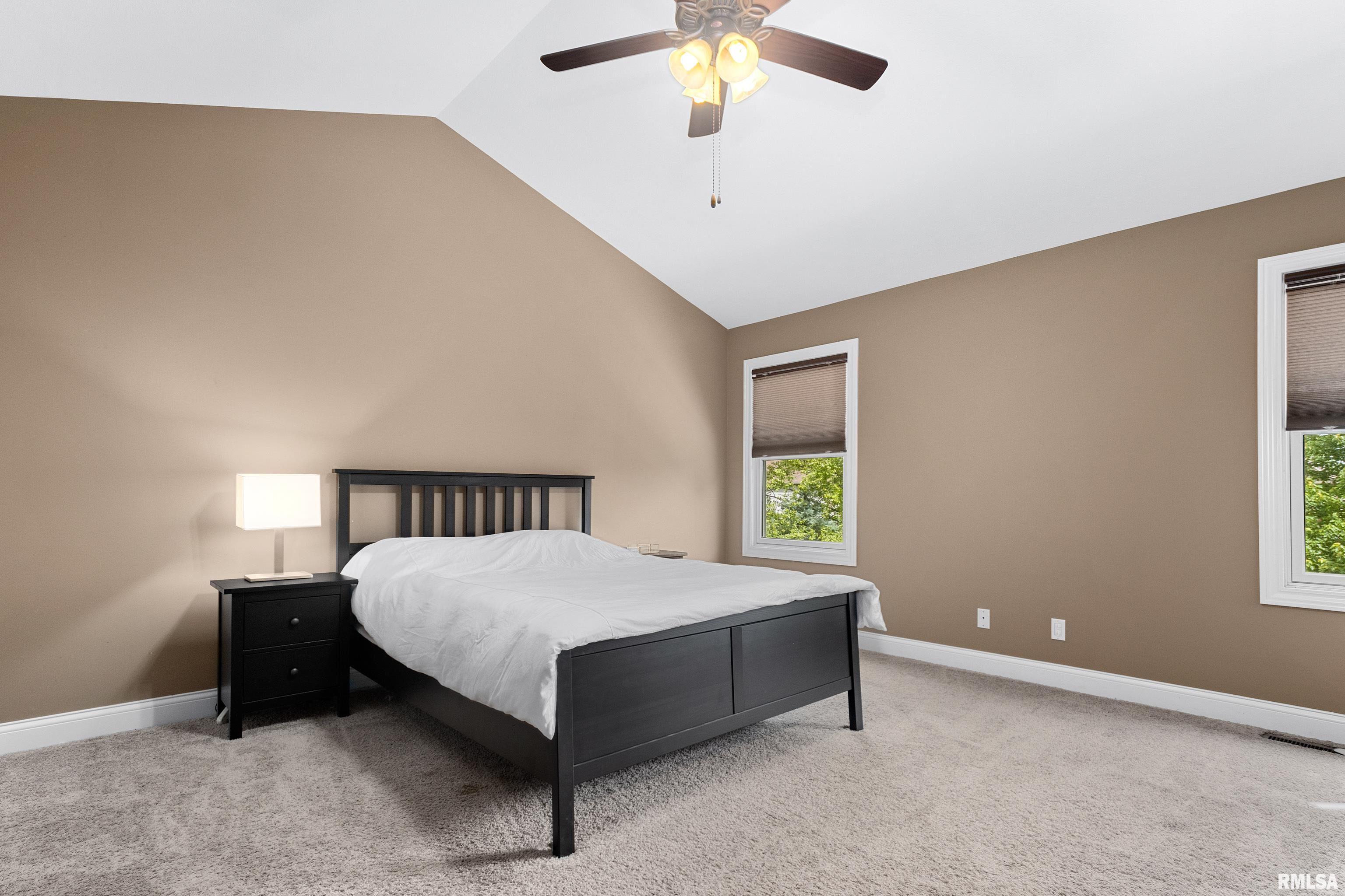 6503 W Sommer Place, Edwards, Illinois image 33