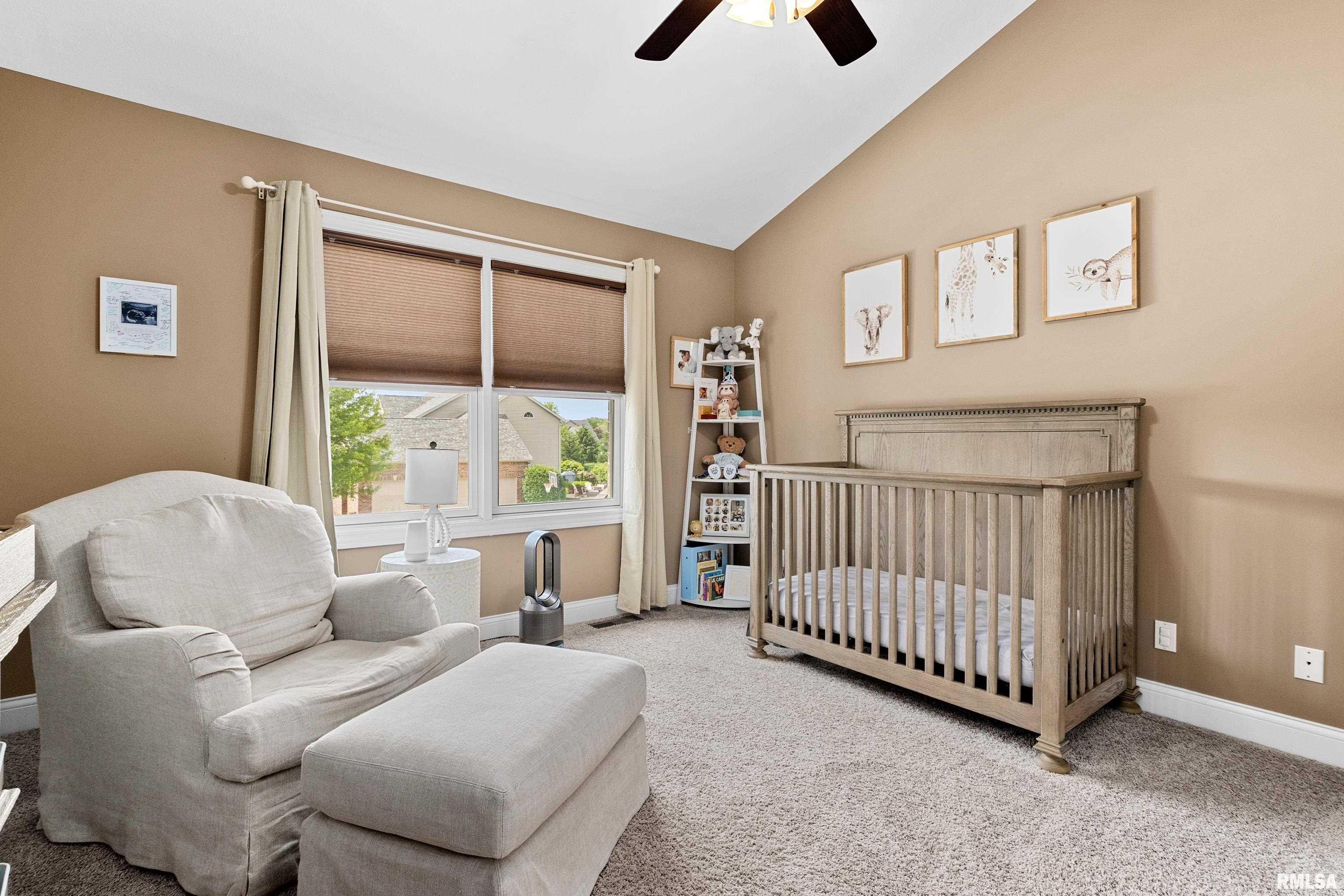 6503 W Sommer Place, Edwards, Illinois image 25