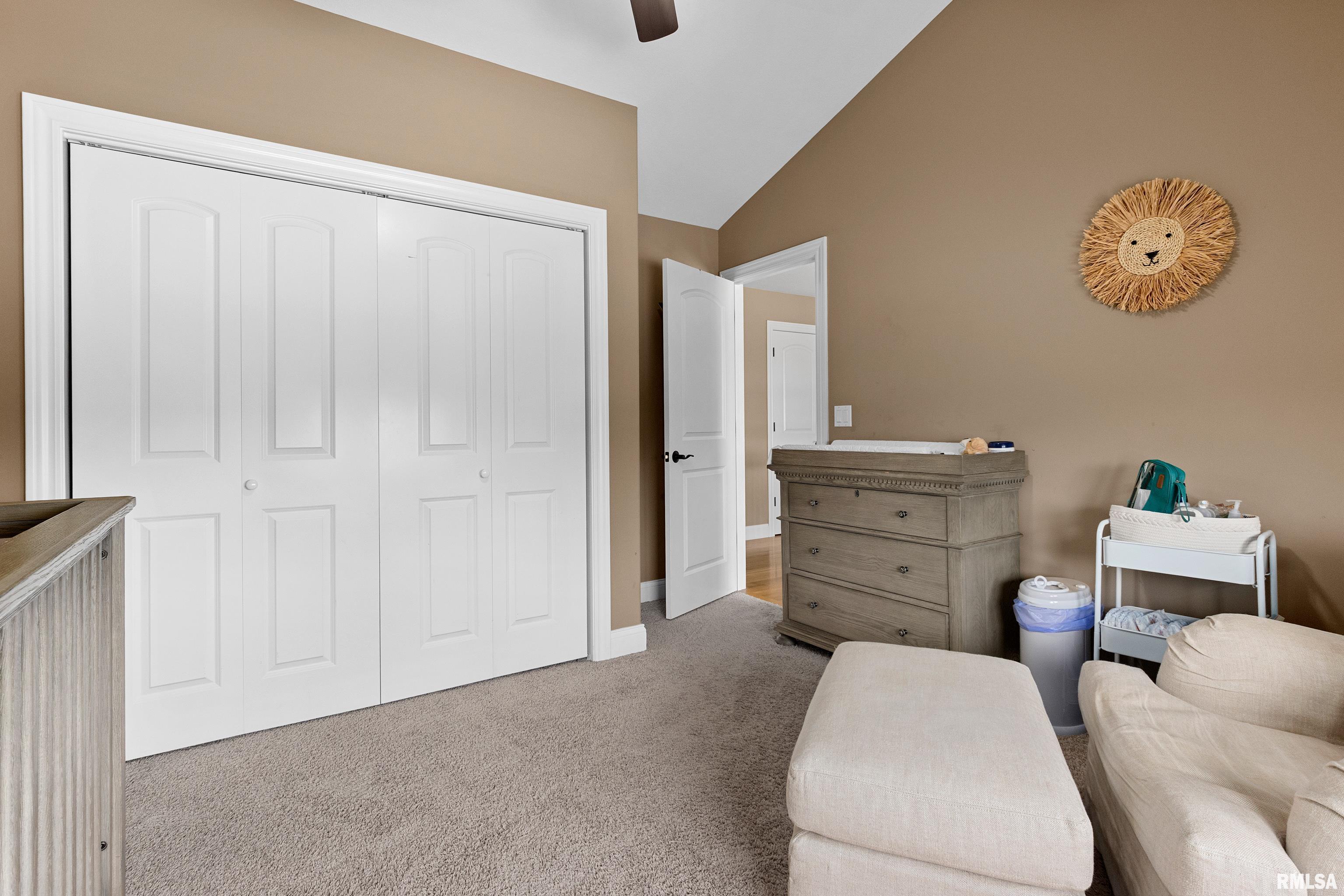 6503 W Sommer Place, Edwards, Illinois image 26