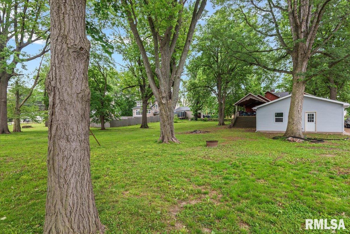 311 E Park Street, Taylorville, Illinois image 39