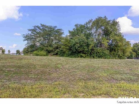 Vacant Land For Sale - 318 Ramblewood Road<br/> Chatham, IL 62629