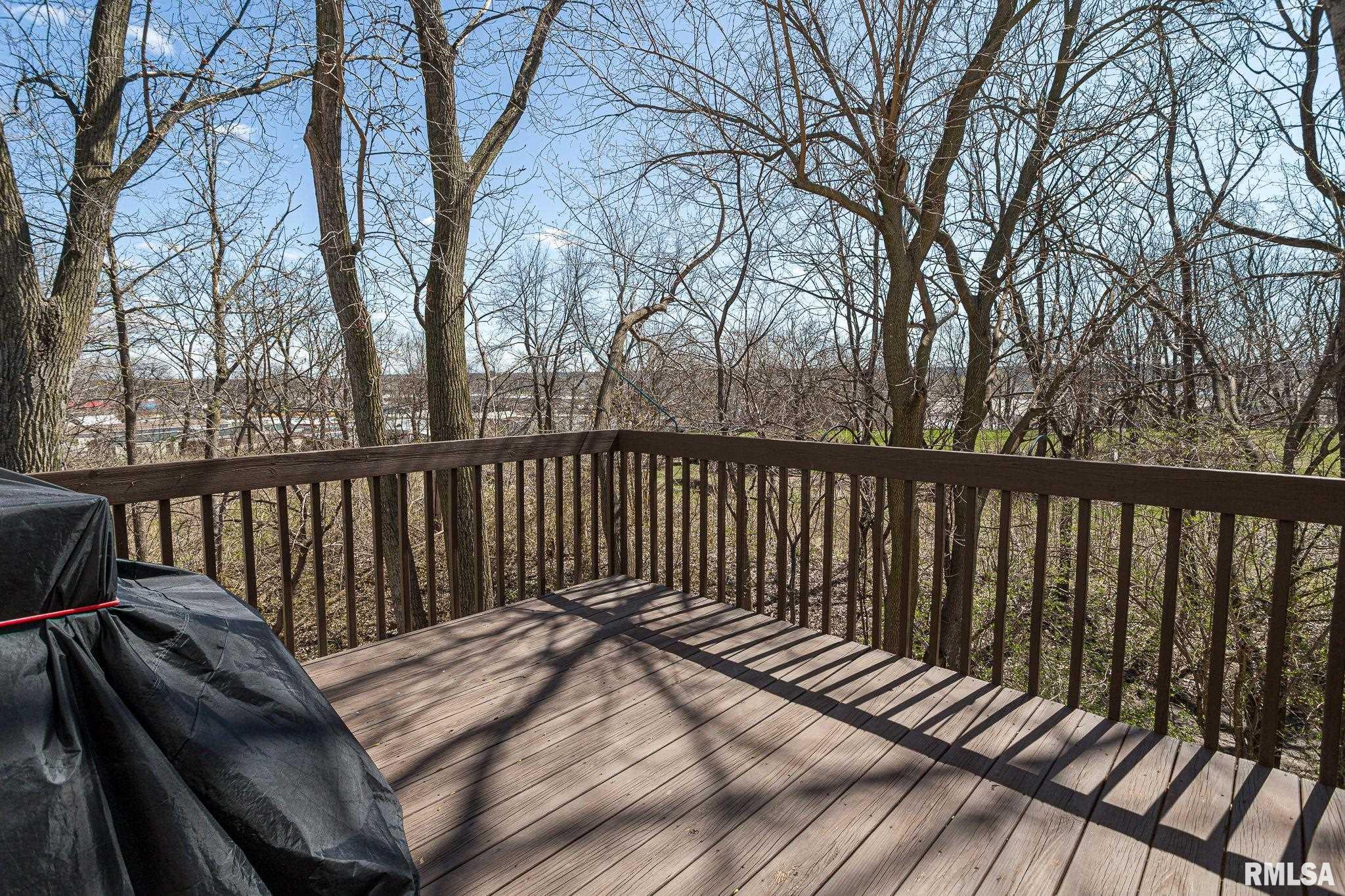 895 Pius Lane, Bettendorf, Iowa image 34