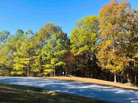 Vacant Land For Sale - LOT 39 & 40 Luxor Landing Lane<br/> Goreville, IL 62939