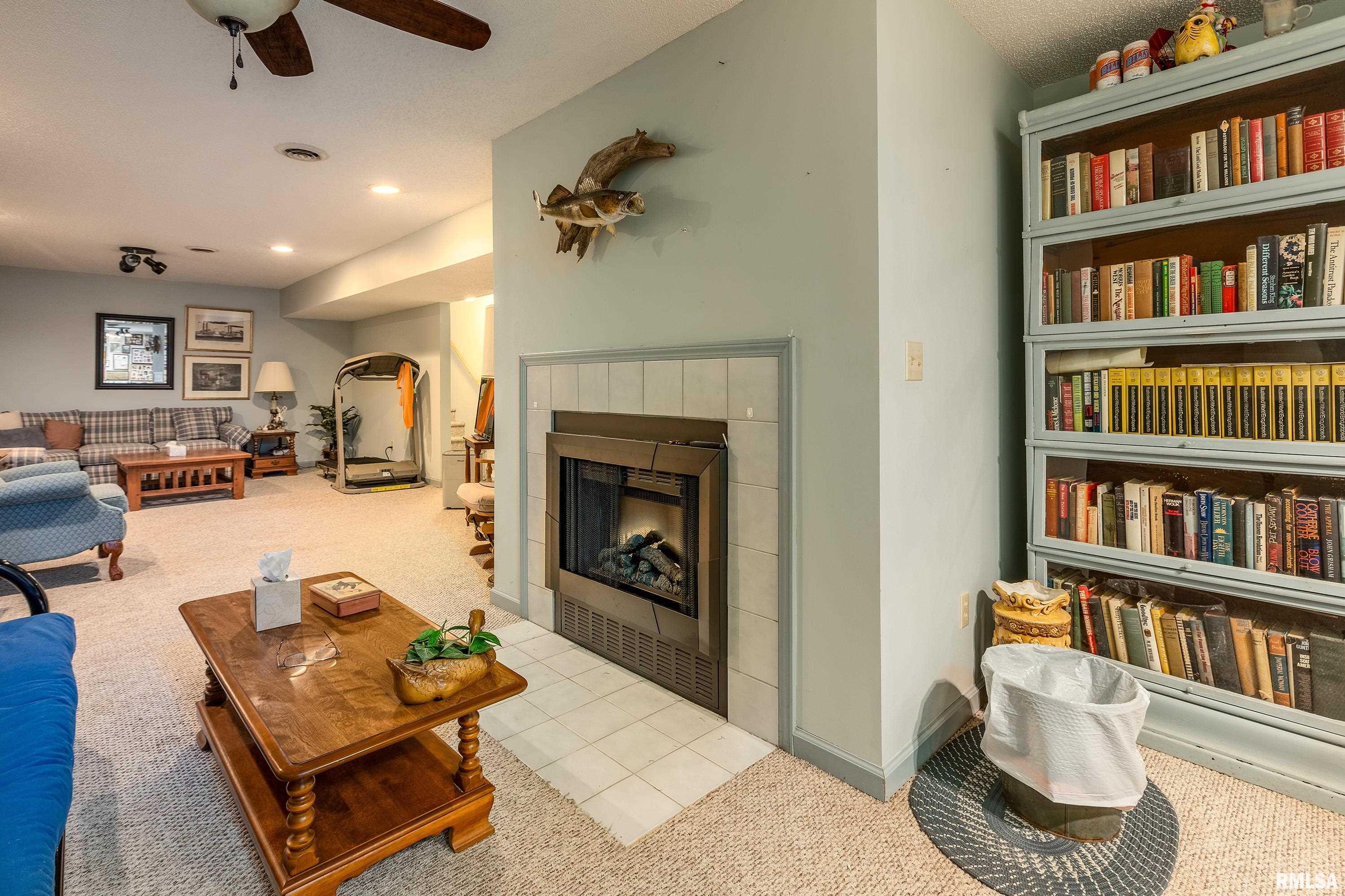 230 Blue Moon Road, Carbondale, Illinois image 48