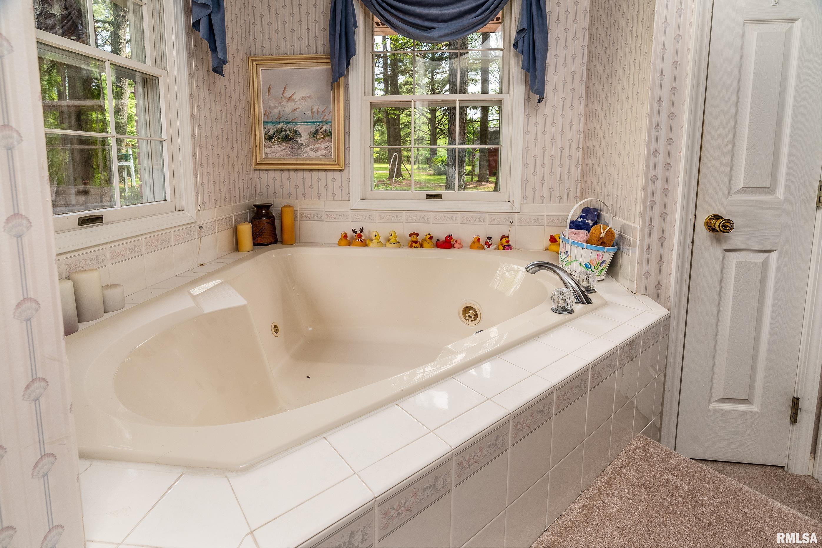 230 Blue Moon Road, Carbondale, Illinois image 36
