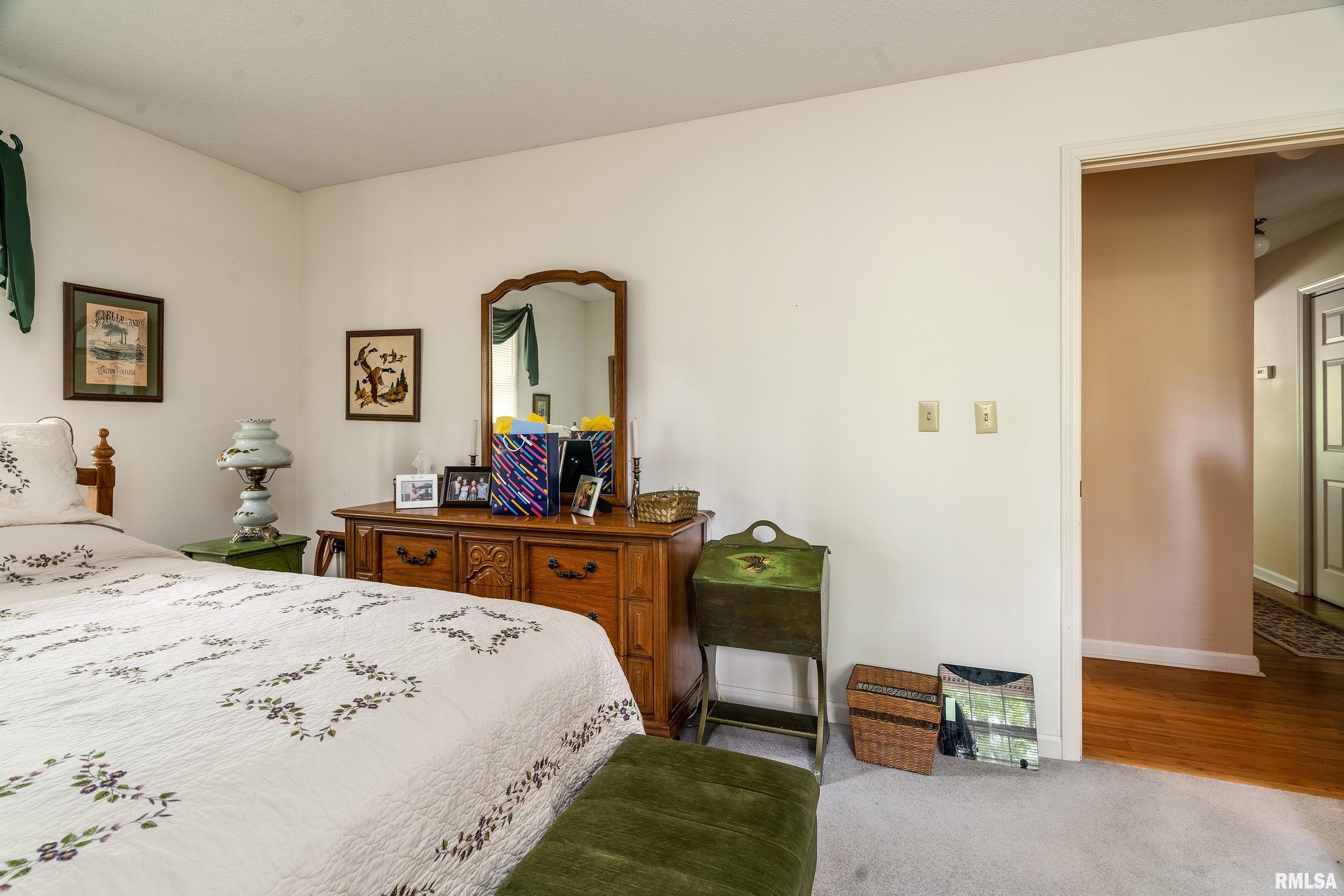230 Blue Moon Road, Carbondale, Illinois image 38