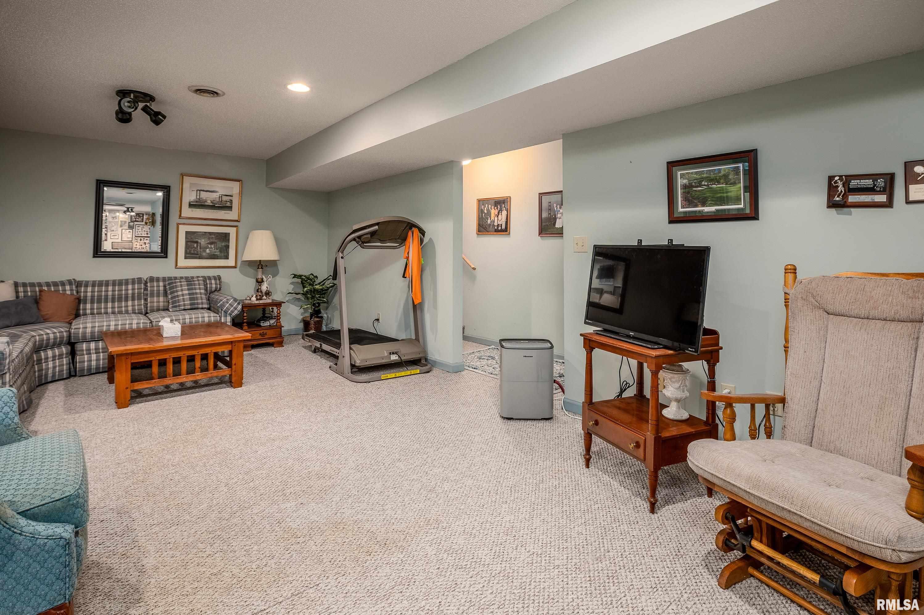 230 Blue Moon Road, Carbondale, Illinois image 47