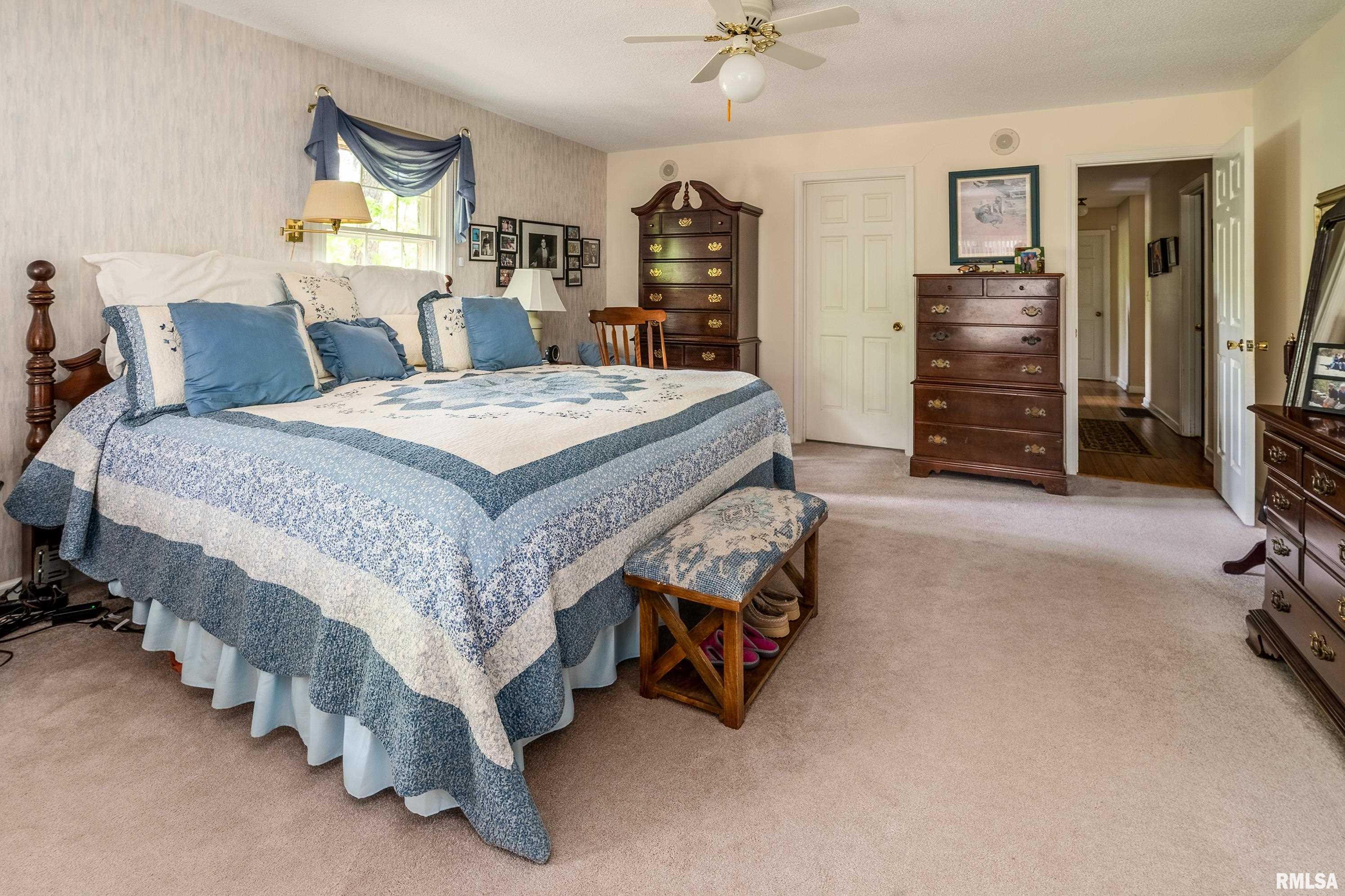 230 Blue Moon Road, Carbondale, Illinois image 31