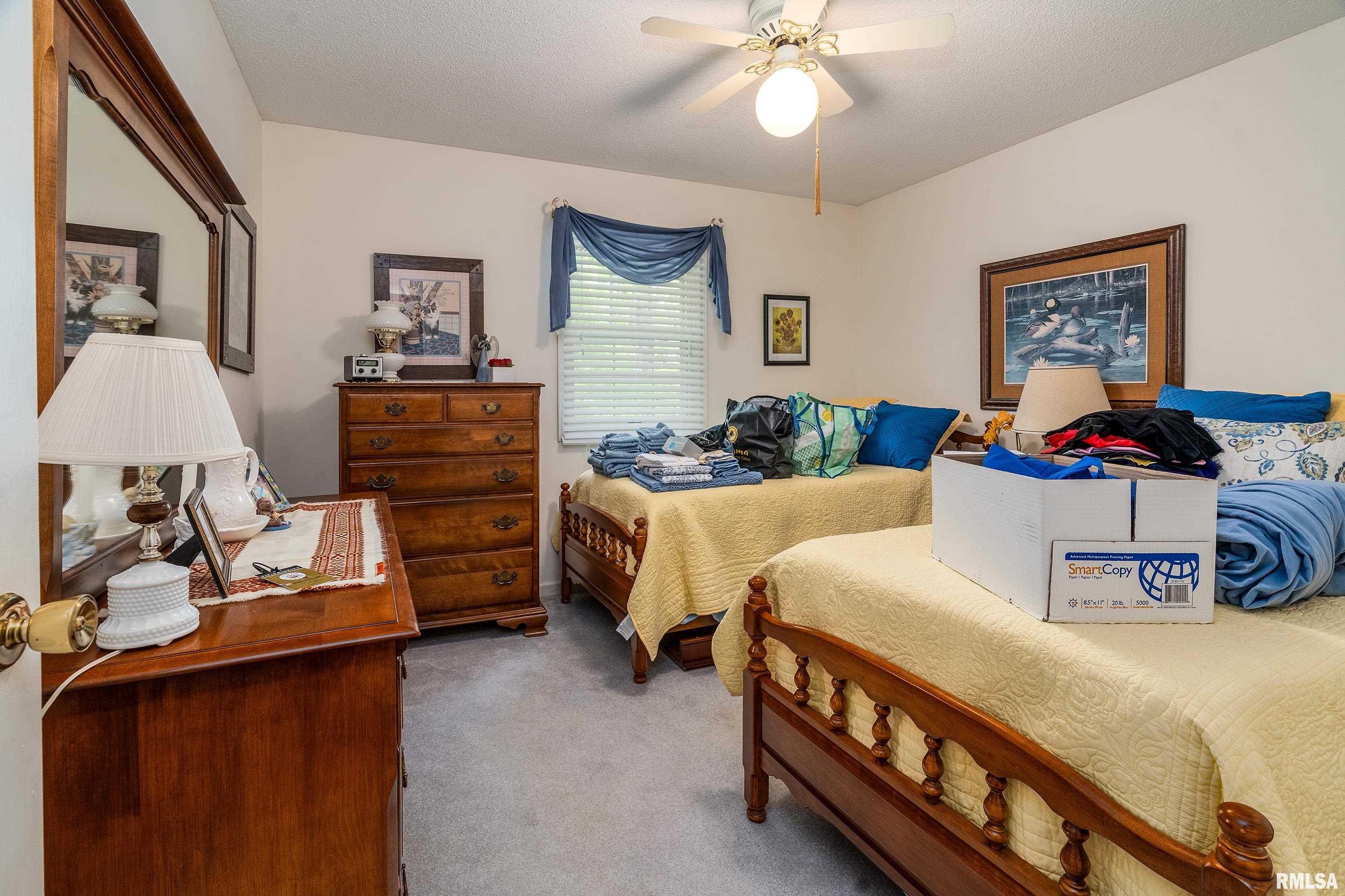 230 Blue Moon Road, Carbondale, Illinois image 49