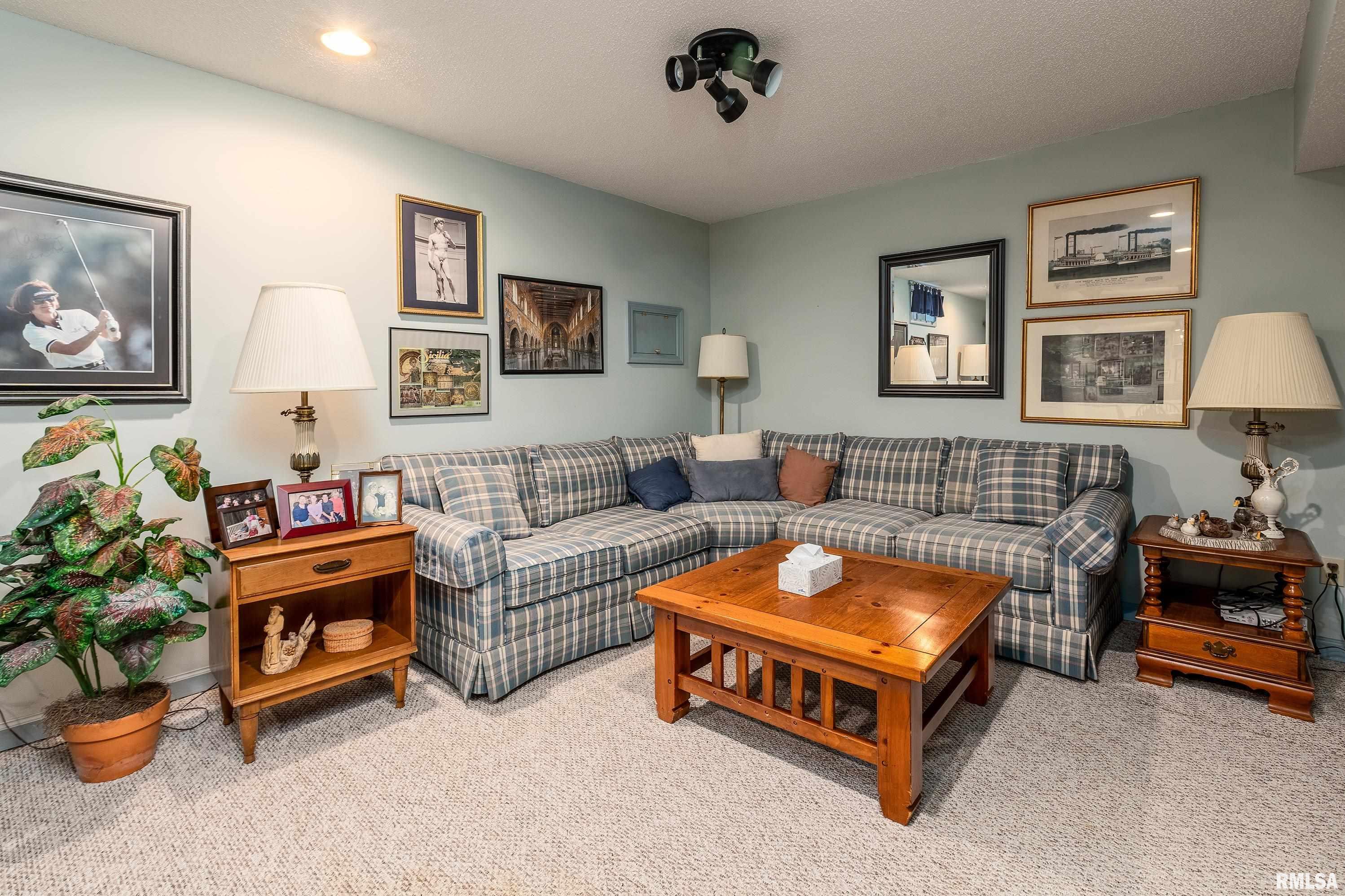 230 Blue Moon Road, Carbondale, Illinois image 45