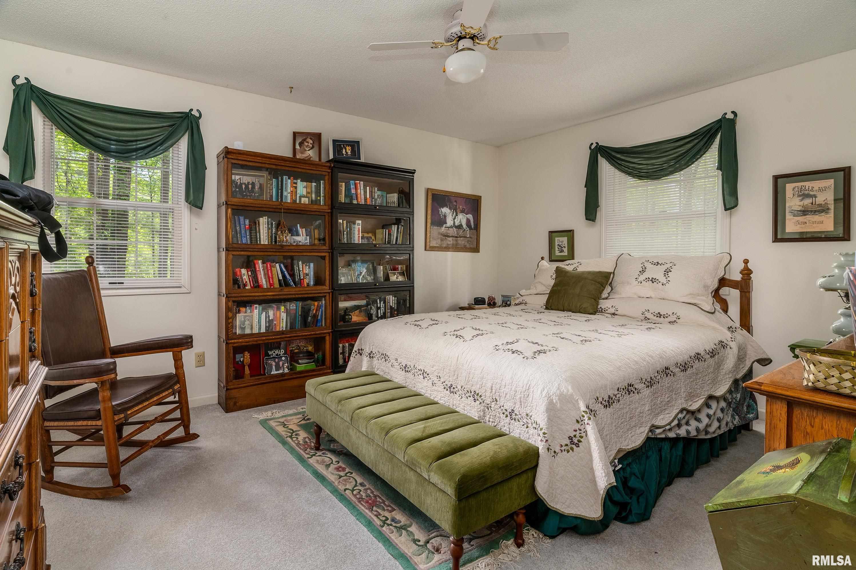 230 Blue Moon Road, Carbondale, Illinois image 37