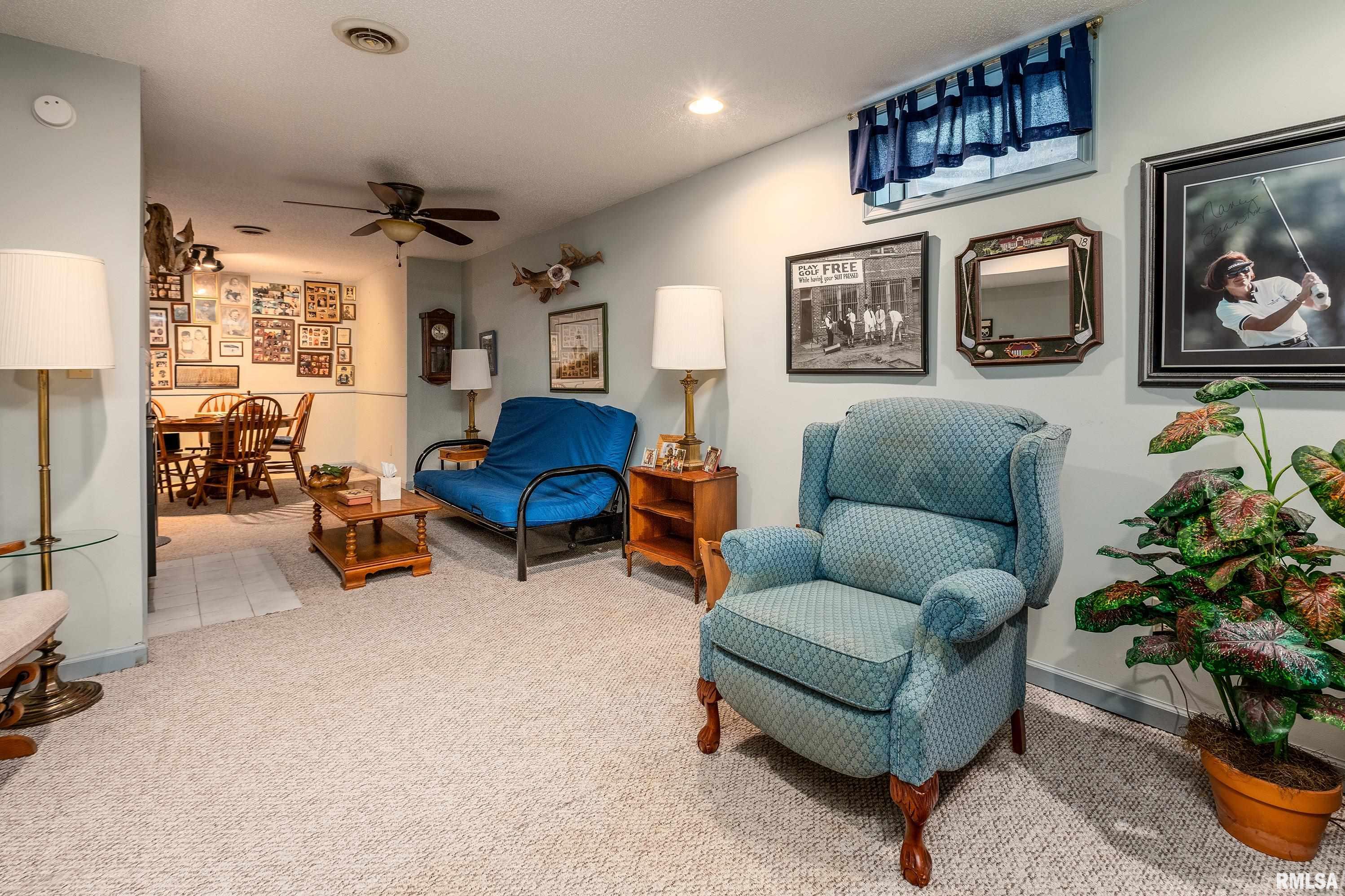 230 Blue Moon Road, Carbondale, Illinois image 46