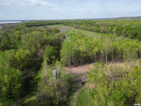 Vacant Land For Sale - Island Lane<br/> Cass County, Beardstown, IL 62618