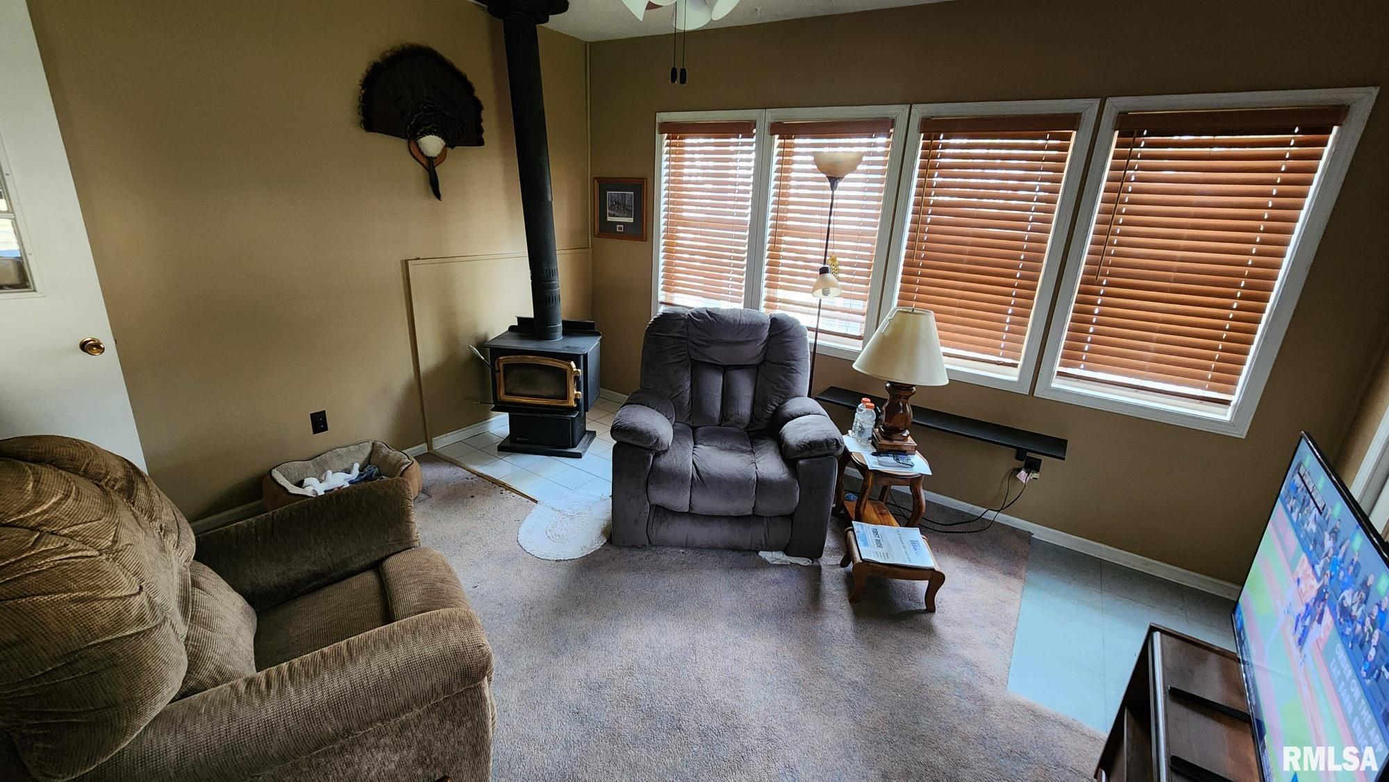 928 Cottage Road, New Boston, Illinois image 13