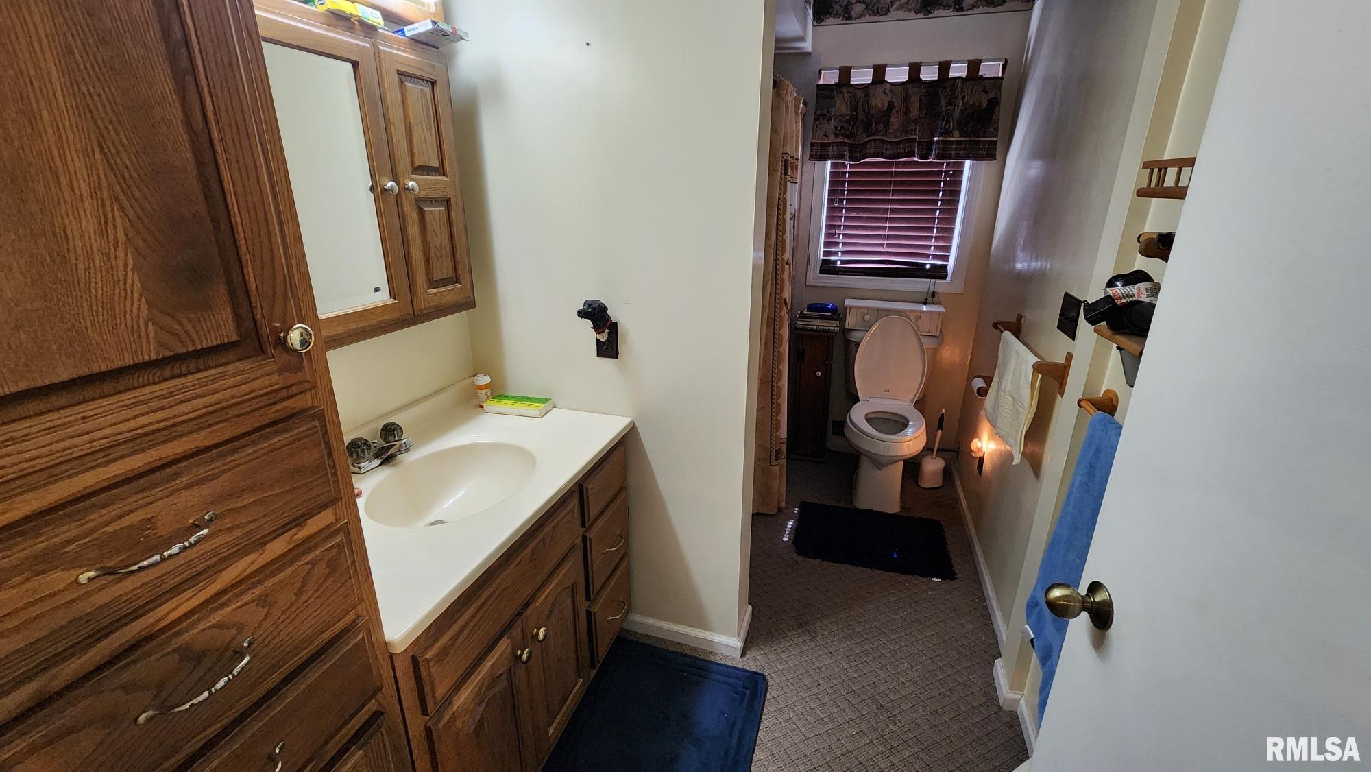 928 Cottage Road, New Boston, Illinois image 8