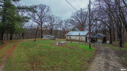 Vacant Land For Sale - 315 Hale Street<br/> Tazewell County, Washington, IL 61571