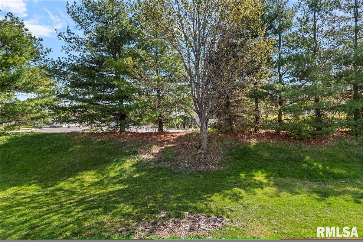 2408 Flaxen Mill Court, Springfield, Illinois image 31