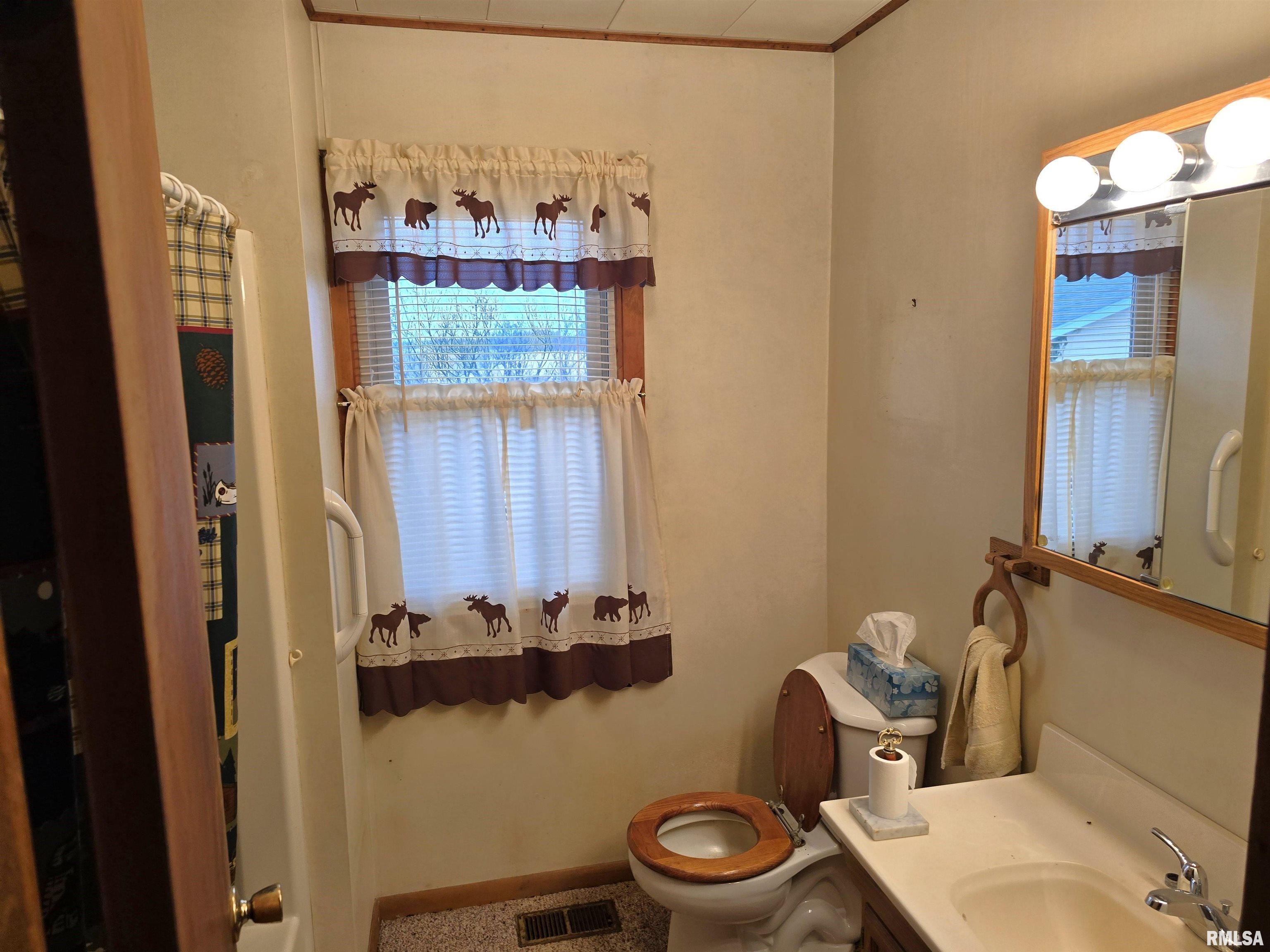 31137 Oakford Road, Oakford, Illinois image 11