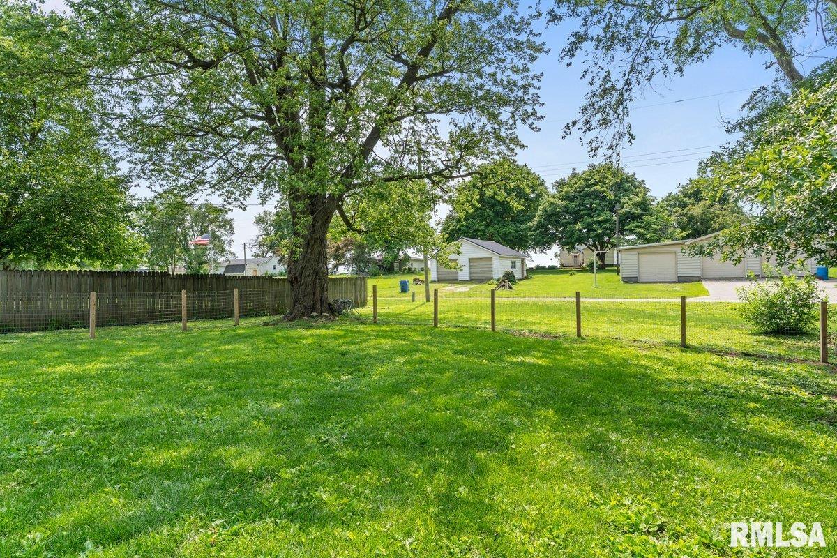 304 S Curtis Street, Edinburg, Illinois image 25