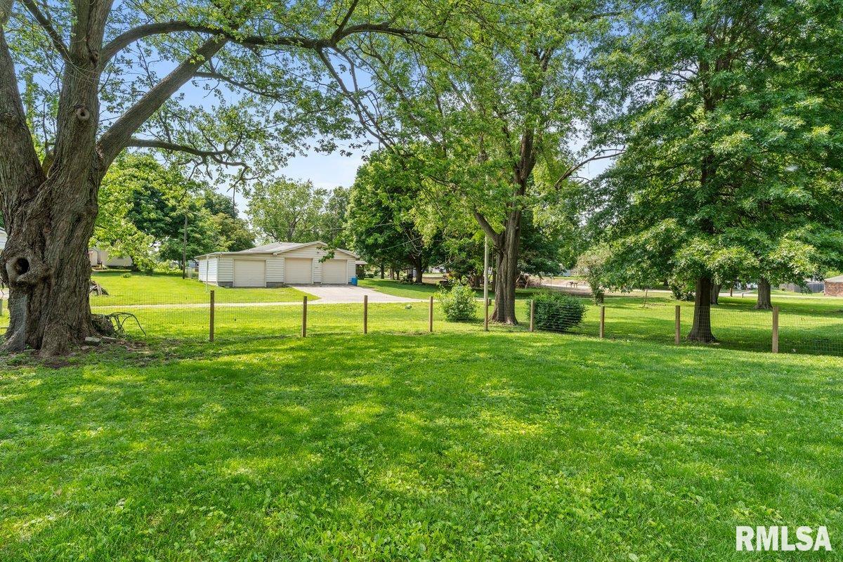 304 S Curtis Street, Edinburg, Illinois image 28
