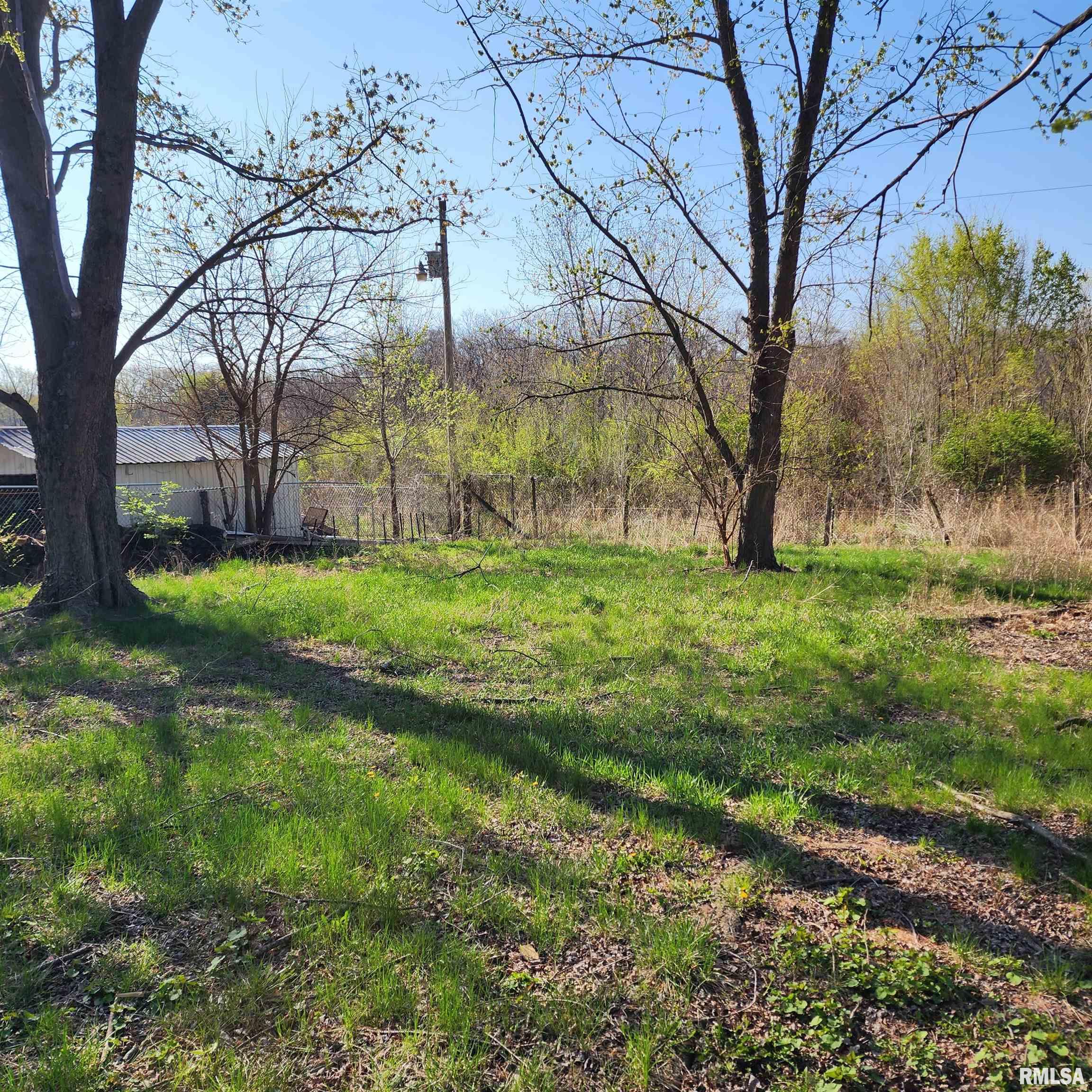 18421 N County Road 1700 N Road, Havana, Illinois image 23