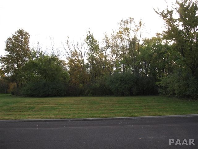 Lot 25 Schmitt Lane, Edwards, Illinois image 5