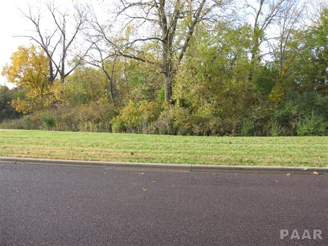 Lot 25 Schmitt Lane, Edwards, Illinois image 6