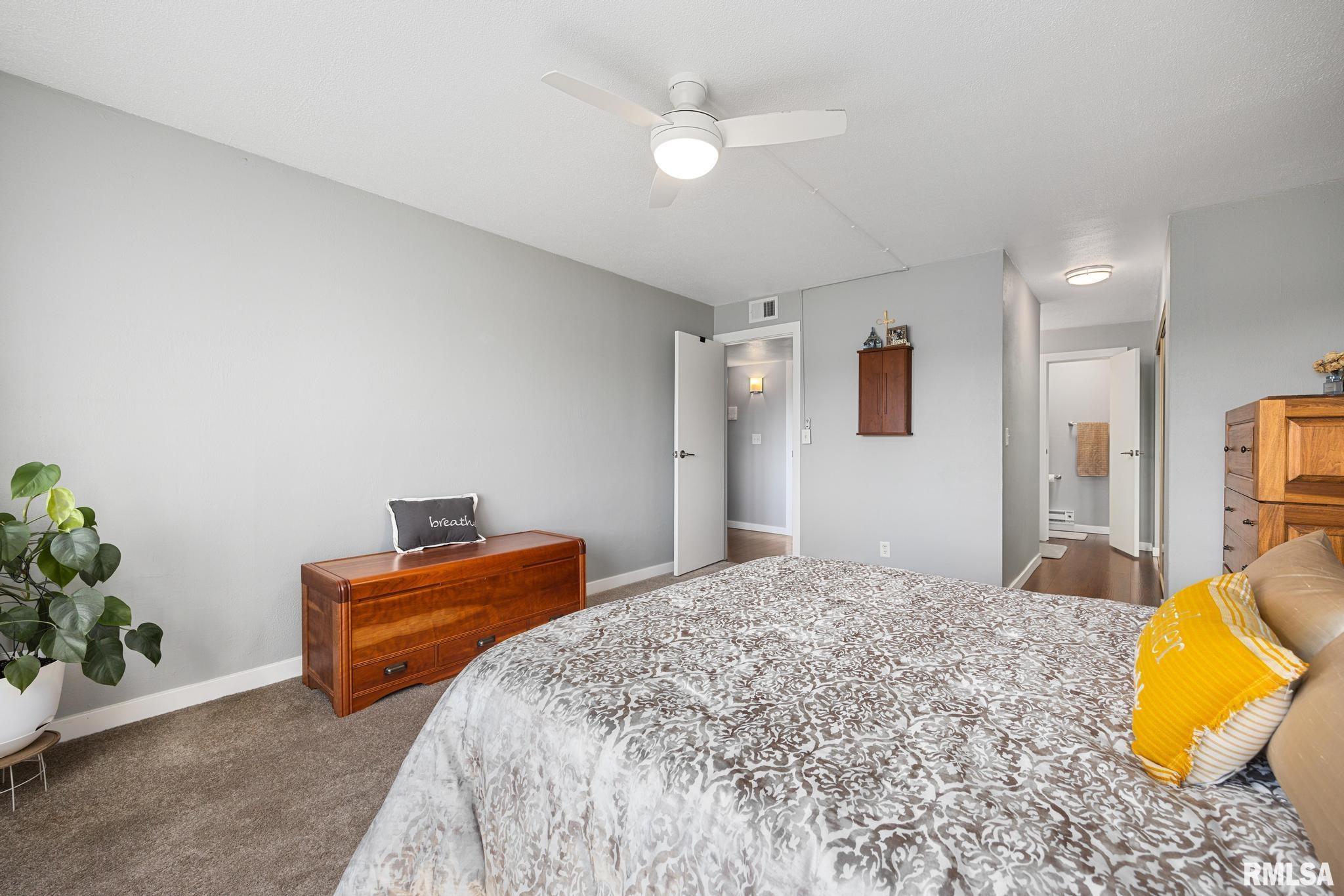 2601 W Willowlake Drive #2, Peoria, Illinois image 17