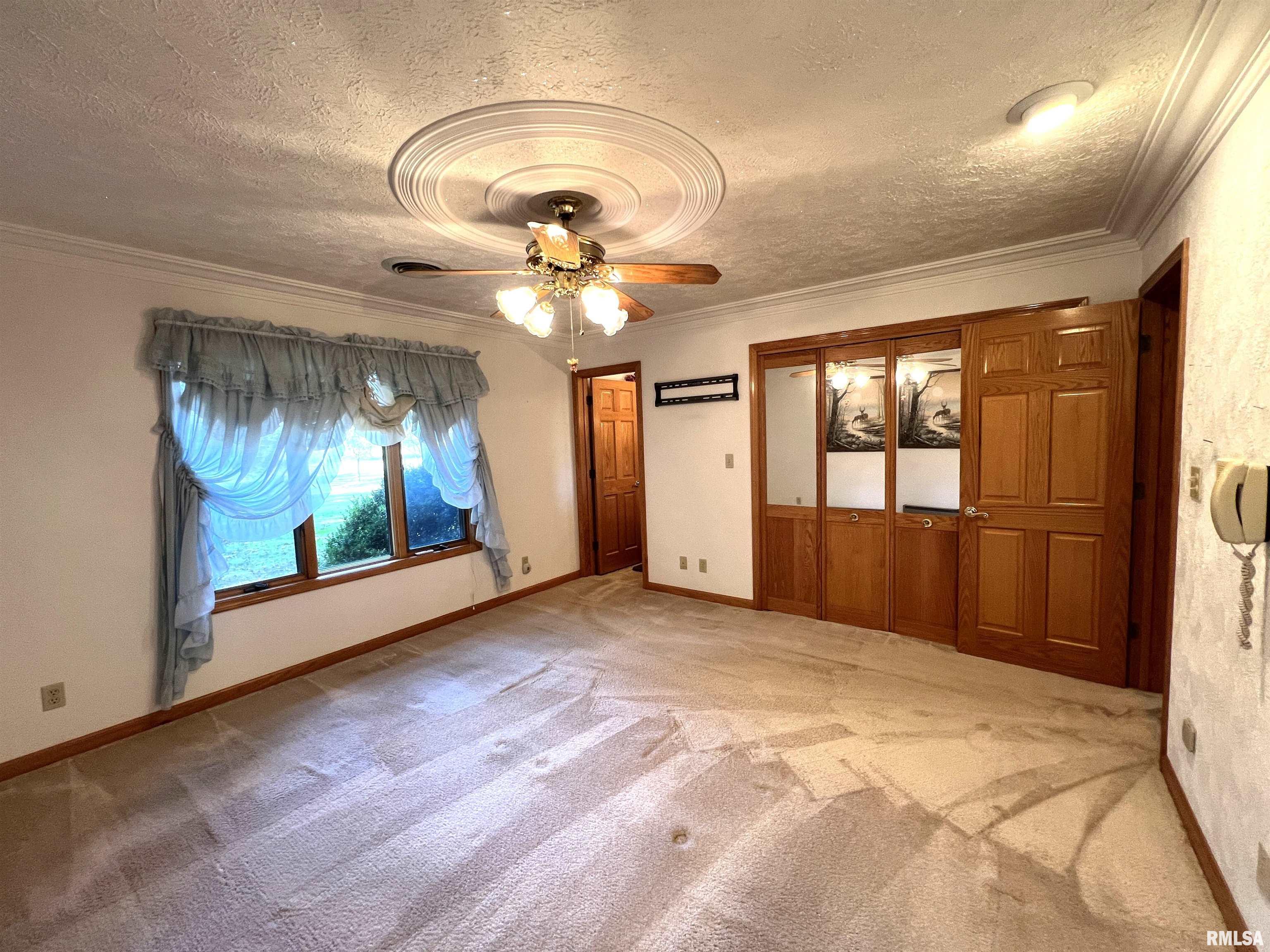 381 Martie Road, Elkville, Illinois image 21