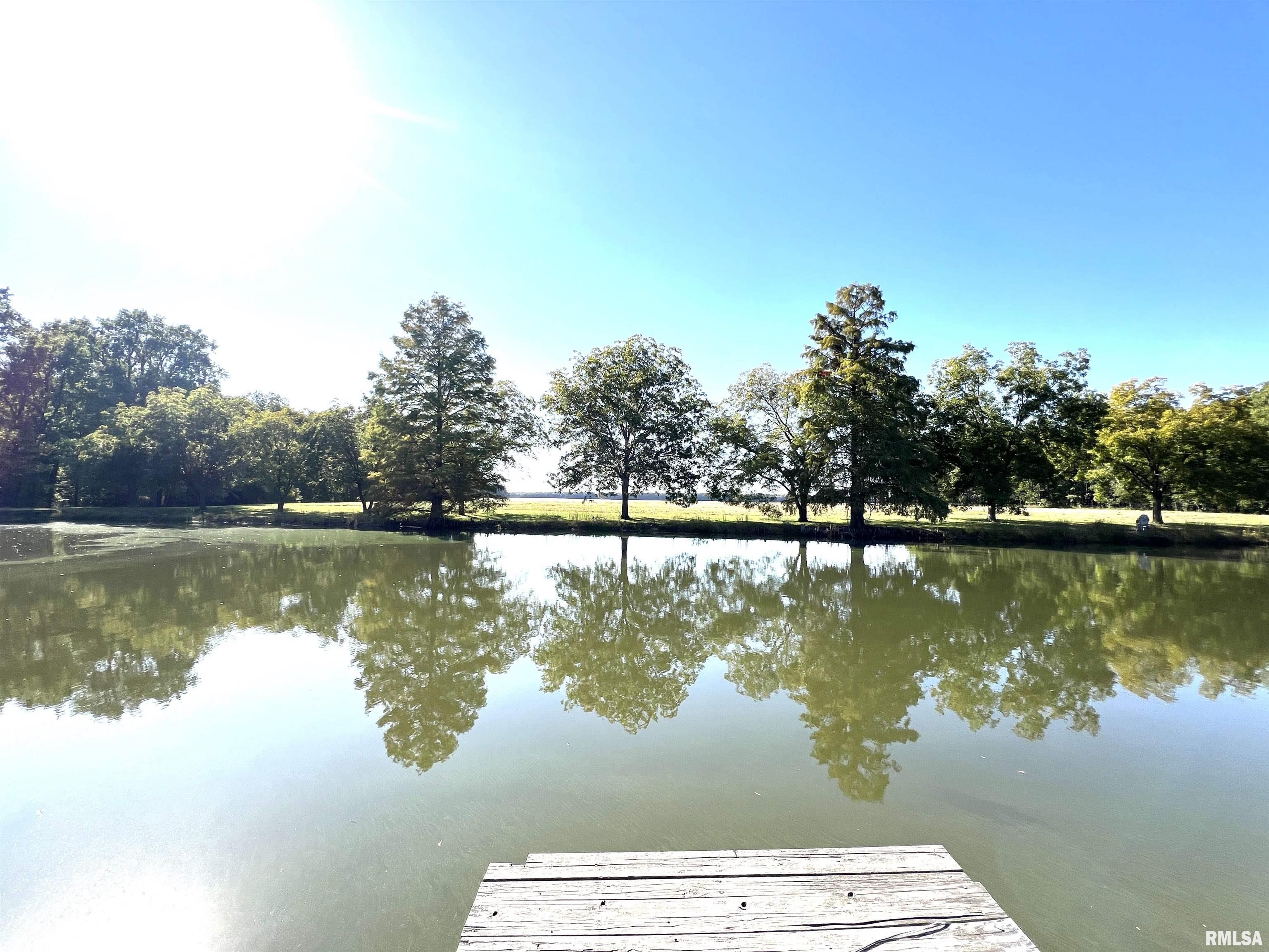 381 Martie Road, Elkville, Illinois image 8