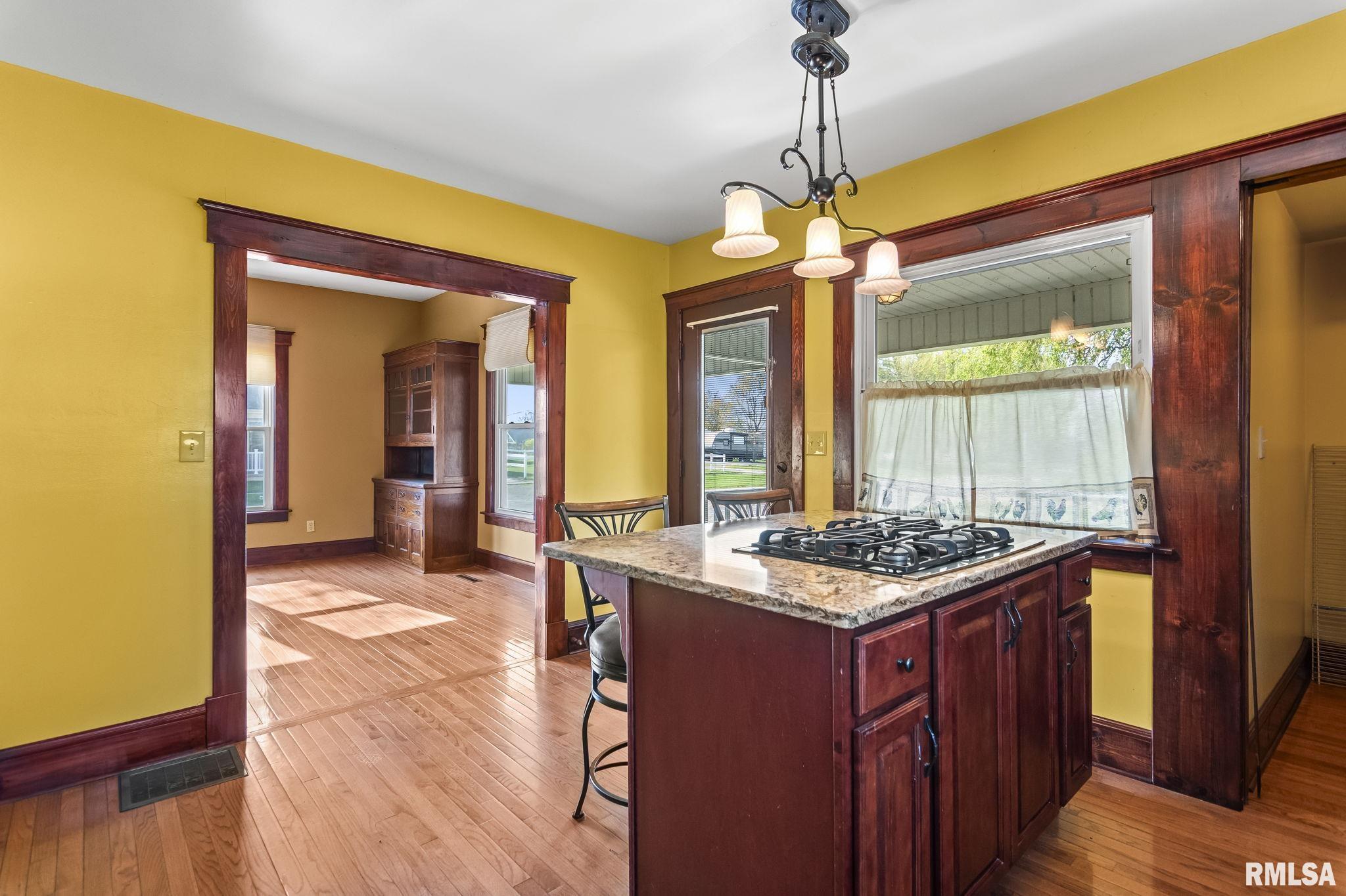 101 E Lester Street, Williamsville, Illinois image 14
