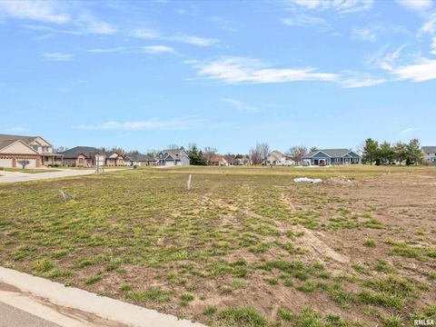 Vacant Land For Sale - 400 Sundown Lane<br/> Sangamon County, Chatham, IL 62629