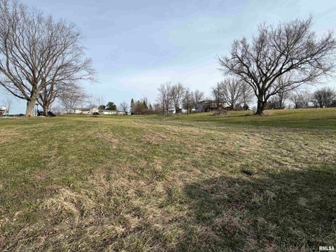 Vacant Land For Sale - LOT 437 Horseshoe Drive<br/> Avon, IL 61415