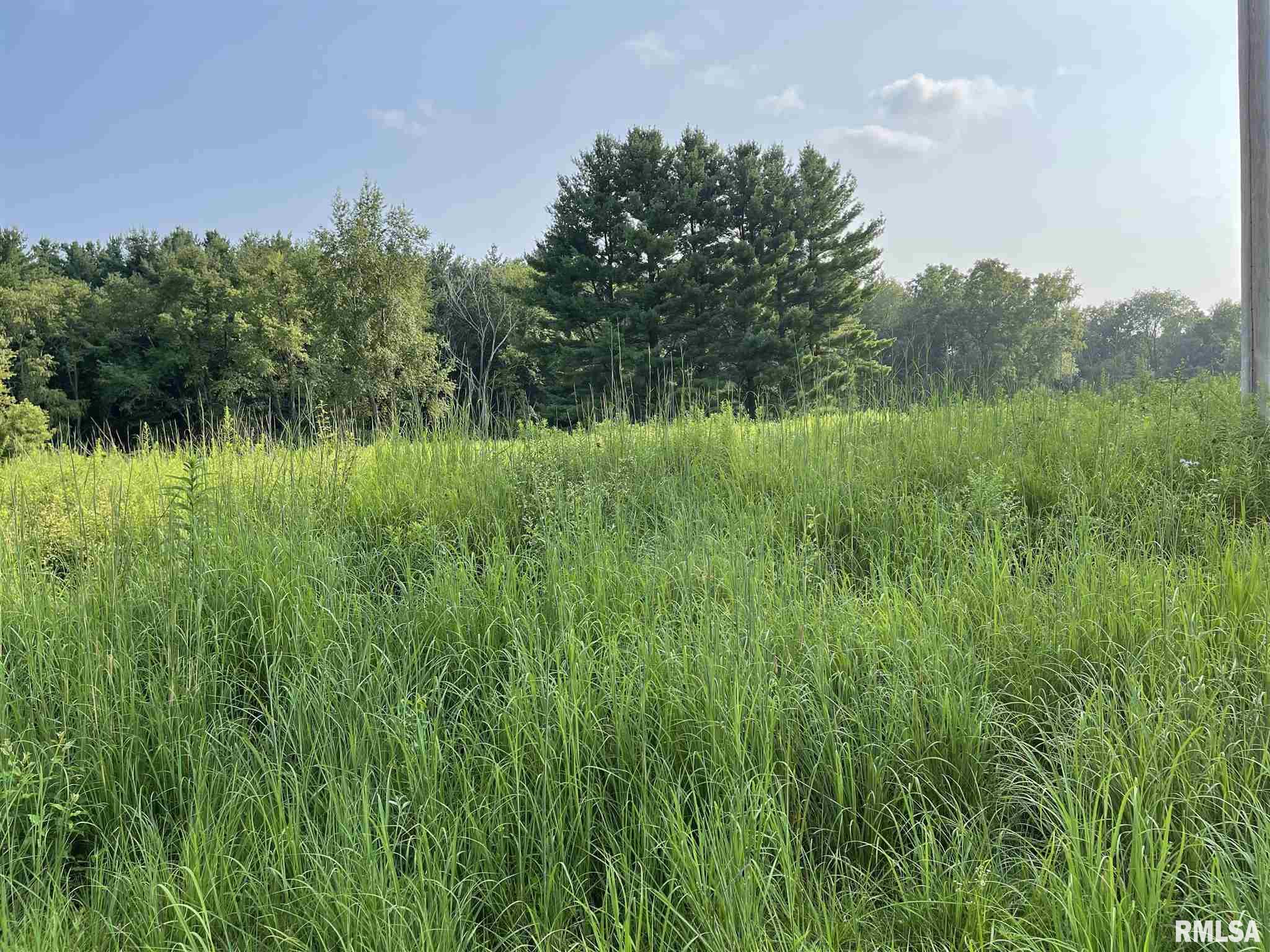 Lot 258 Oak Run Drive, Dahinda, Illinois image 2