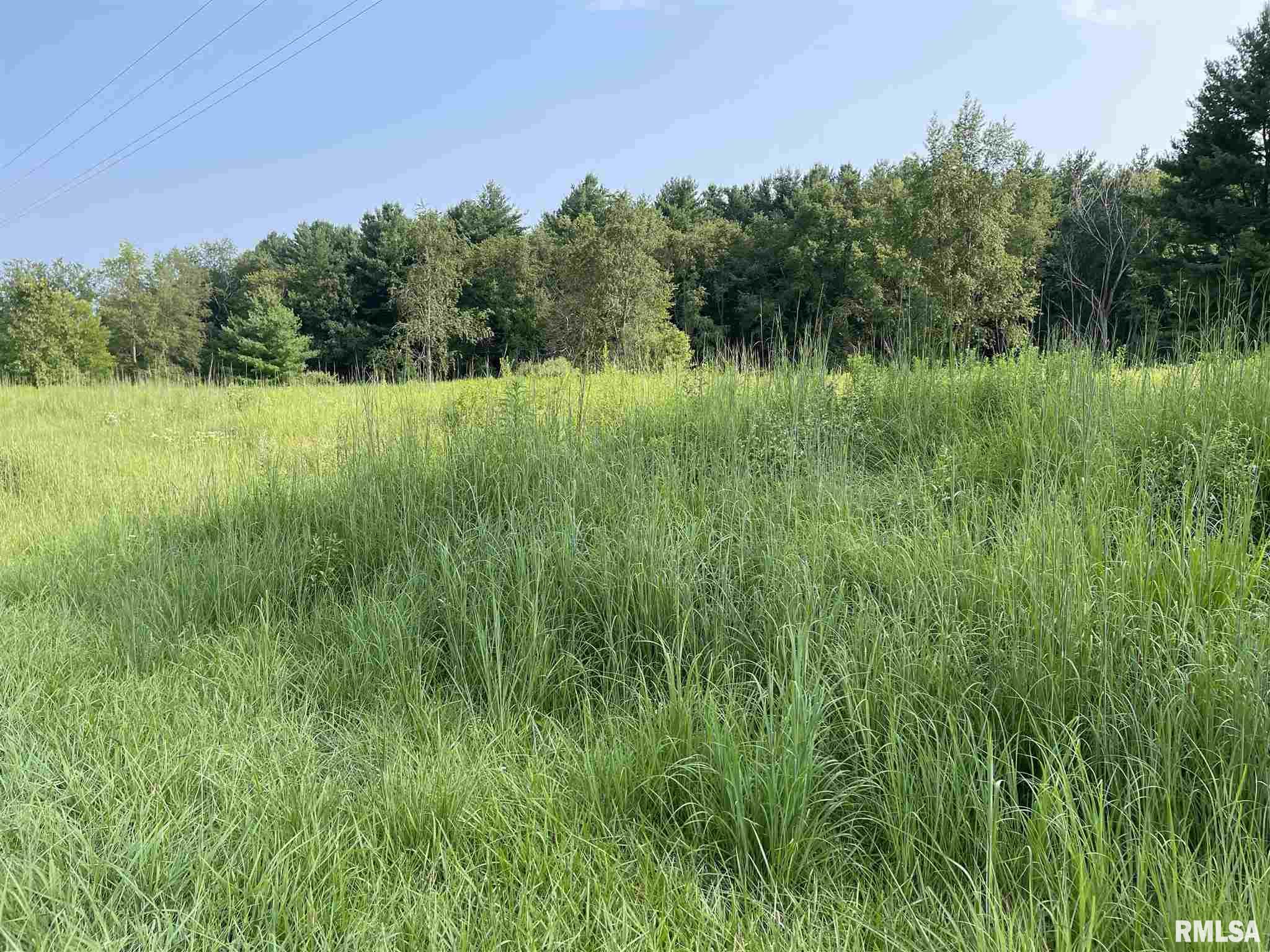 Lot 258 Oak Run Drive, Dahinda, Illinois image 1