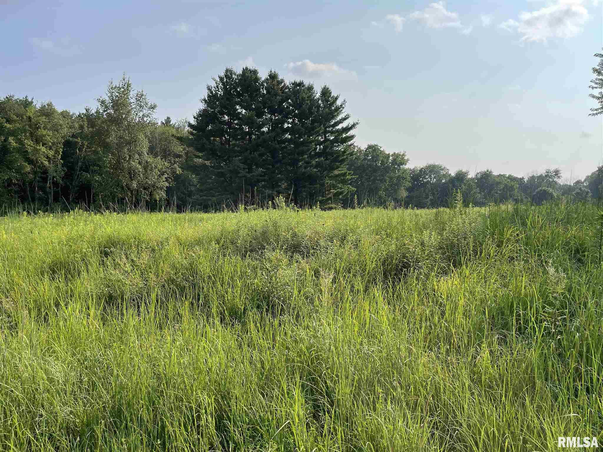 Lot 258 Oak Run Drive, Dahinda, Illinois image 3